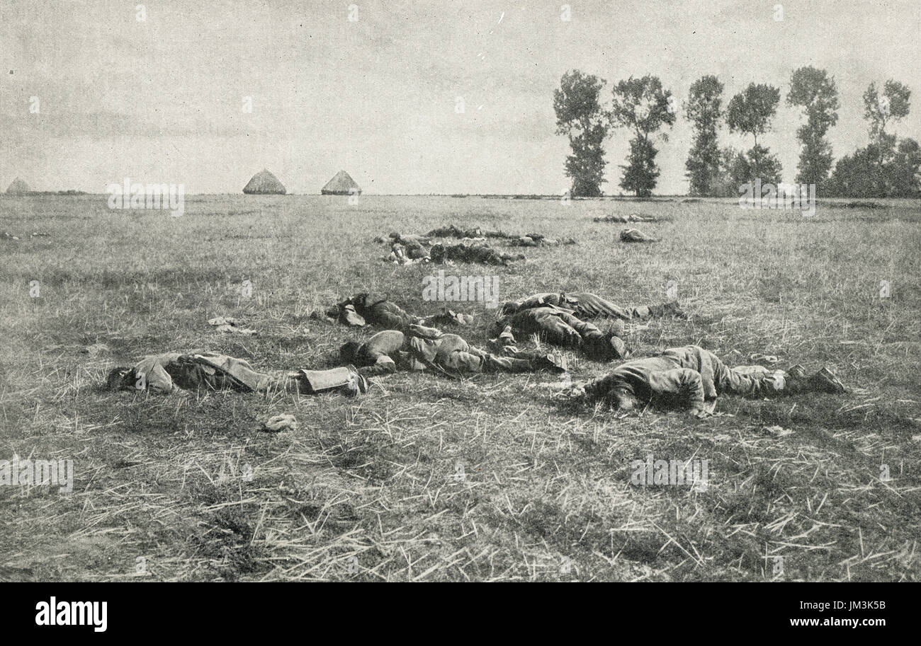 Il tedesco morto giacente su un francese campo altezza stoppia Foto Stock