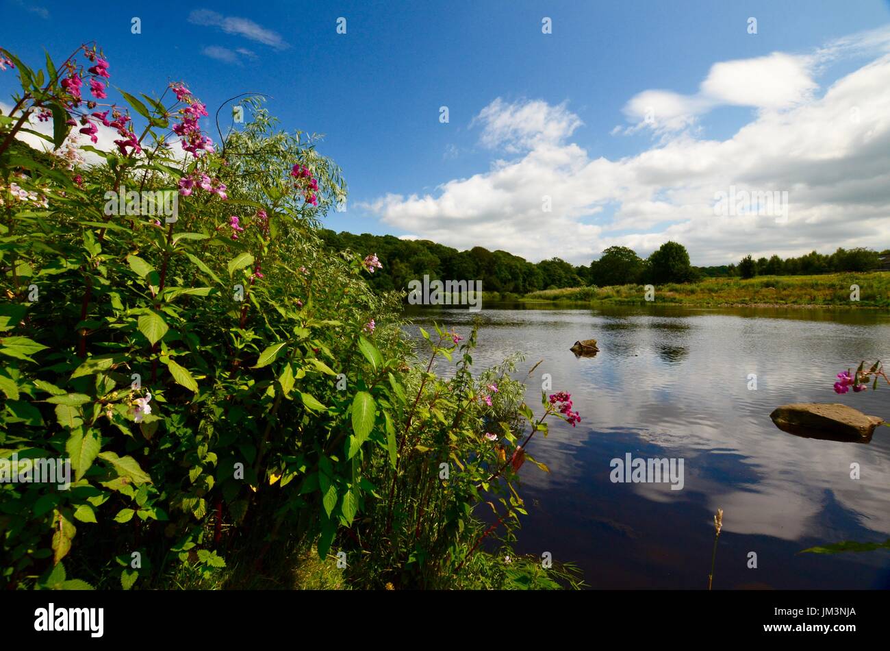 Il fiume Ribble Foto Stock