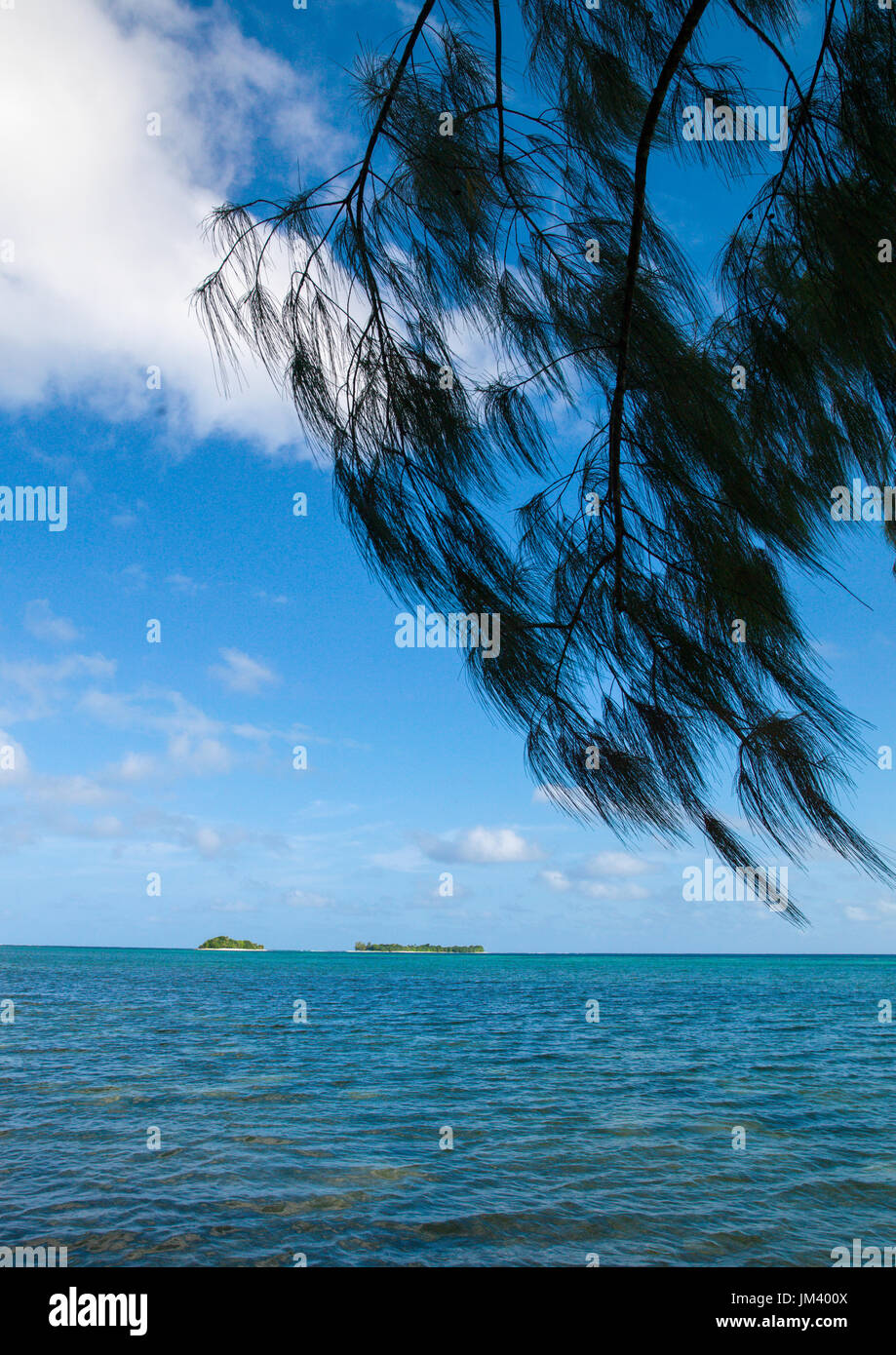 Acque turchesi su una spiaggia, Shefa Provincia, isola di Efate, Vanuatu Foto Stock