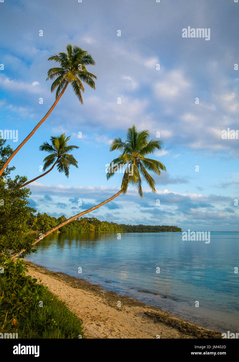 Gli alberi di noci di cocco davanti ad un'acqua turchese e sabbia bianca sulla spiaggia di Erakor, Shefa Provincia, isola di Efate, Vanuatu Foto Stock