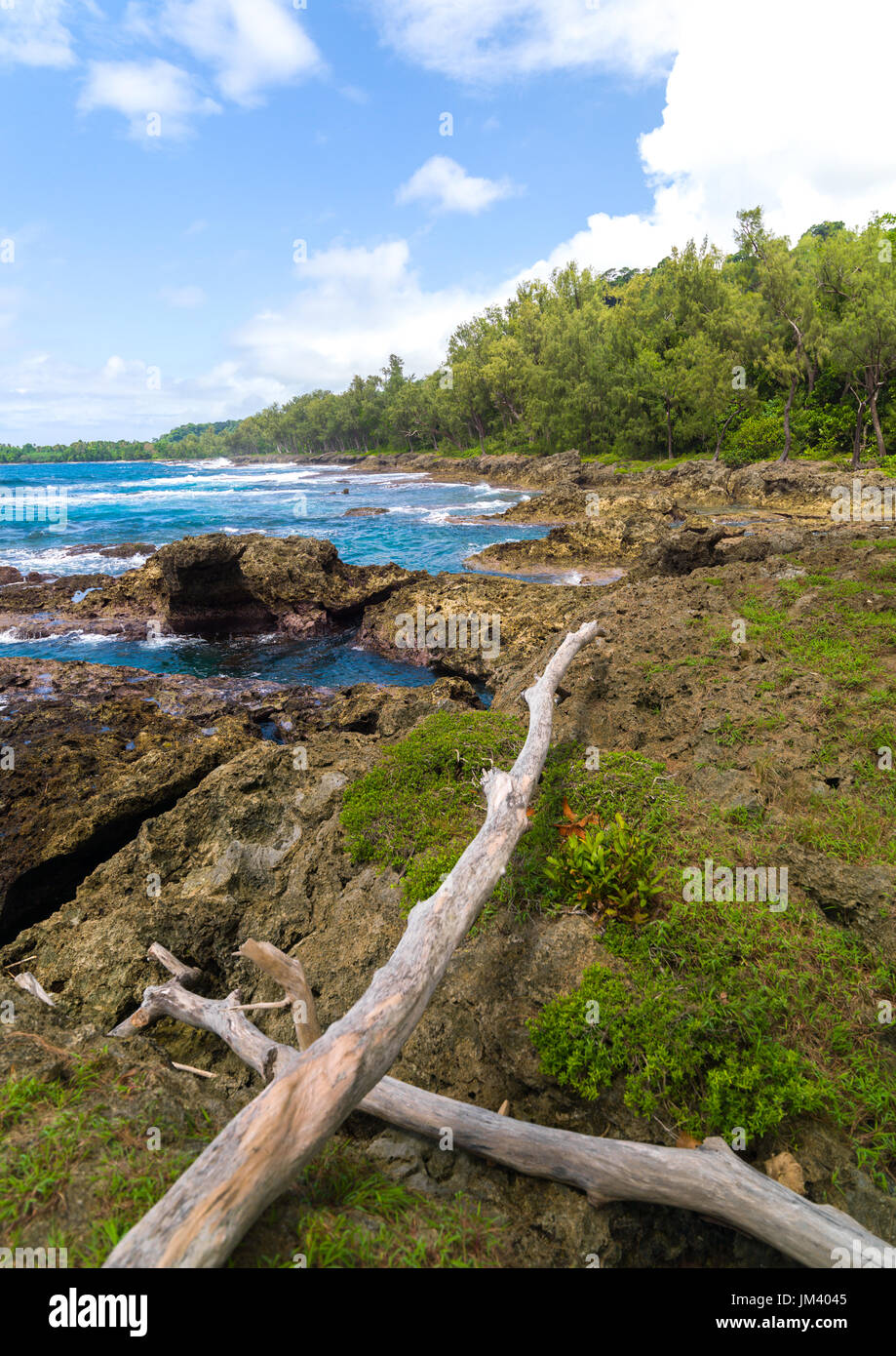Spiaggia rocciosa, Shefa Provincia, isola di Efate, Vanuatu Foto Stock