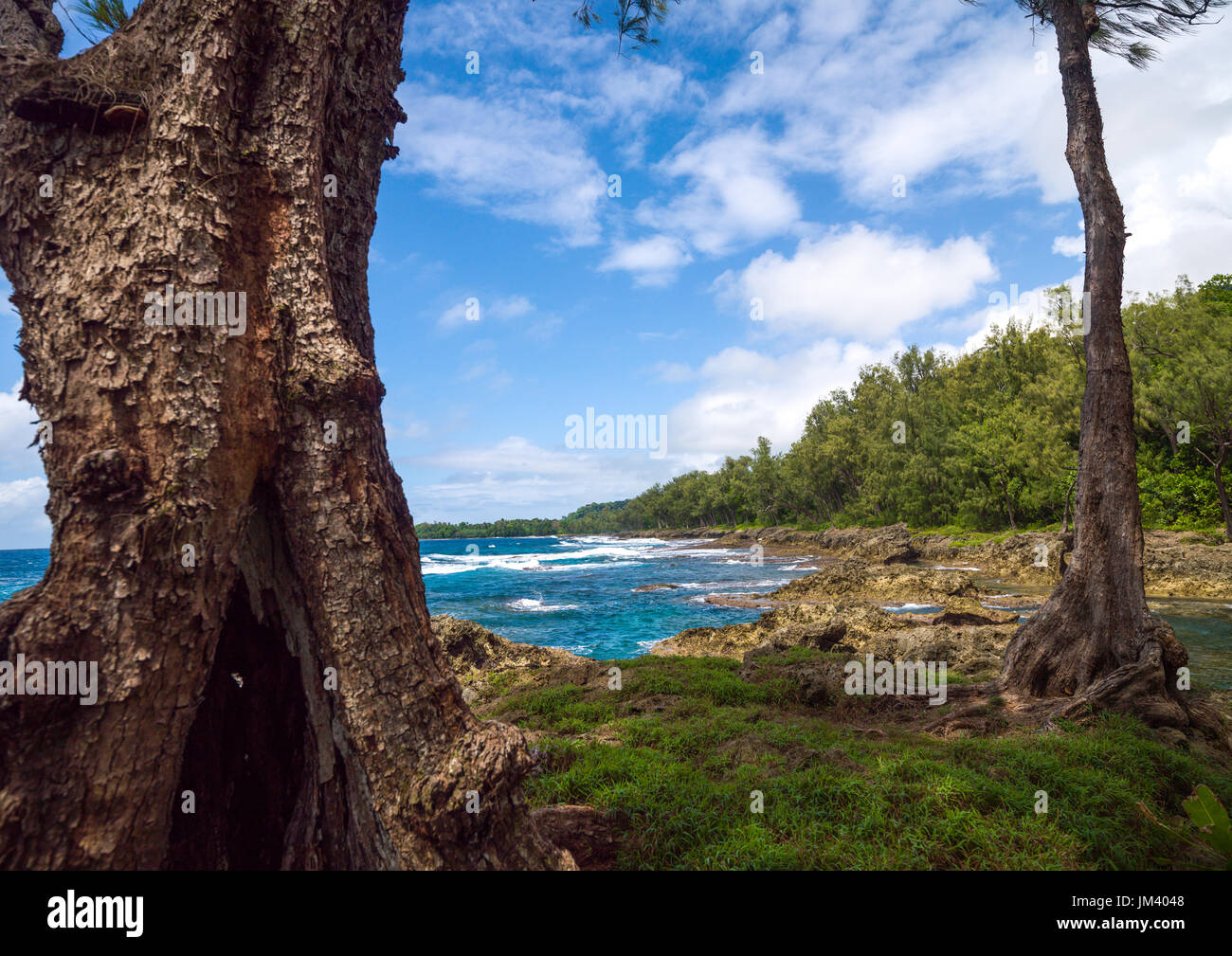 Spiaggia rocciosa, Shefa Provincia, isola di Efate, Vanuatu Foto Stock