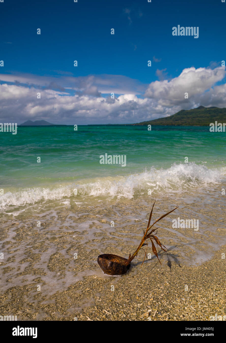 Il Cocco davanti ad un'acqua turchese e sabbia bianca su una spiaggia, Shefa Provincia, isola di Efate, Vanuatu Foto Stock