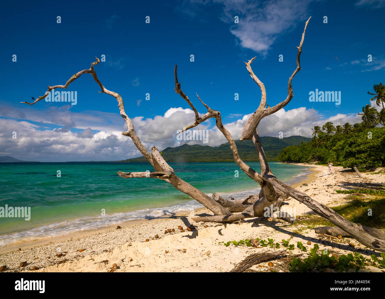 Acque turchesi e la sabbia bianca su una spiaggia, Shefa Provincia, isola di Efate, Vanuatu Foto Stock