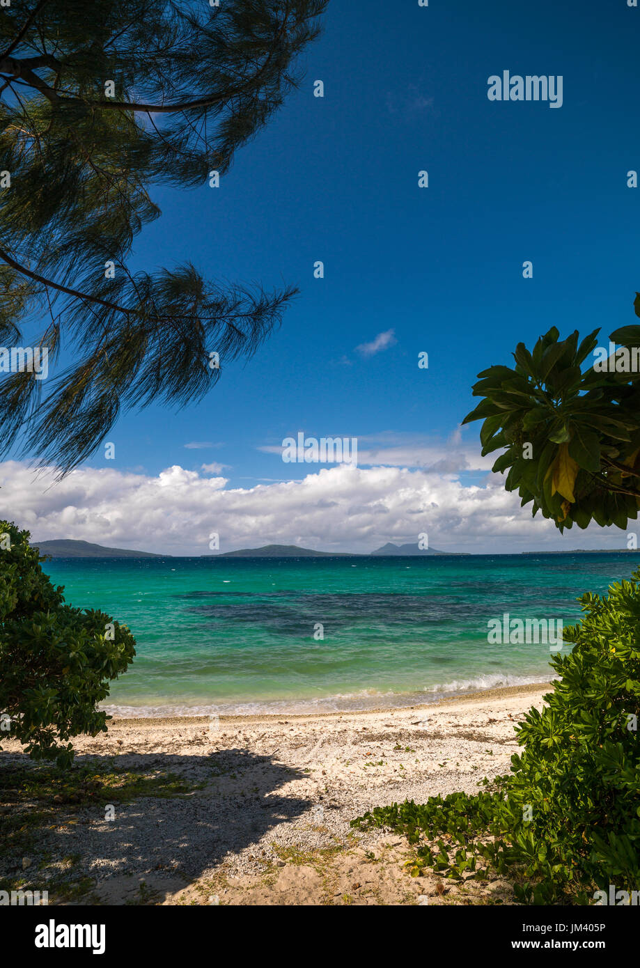 Acque turchesi e la sabbia bianca su una spiaggia, Shefa Provincia, isola di Efate, Vanuatu Foto Stock