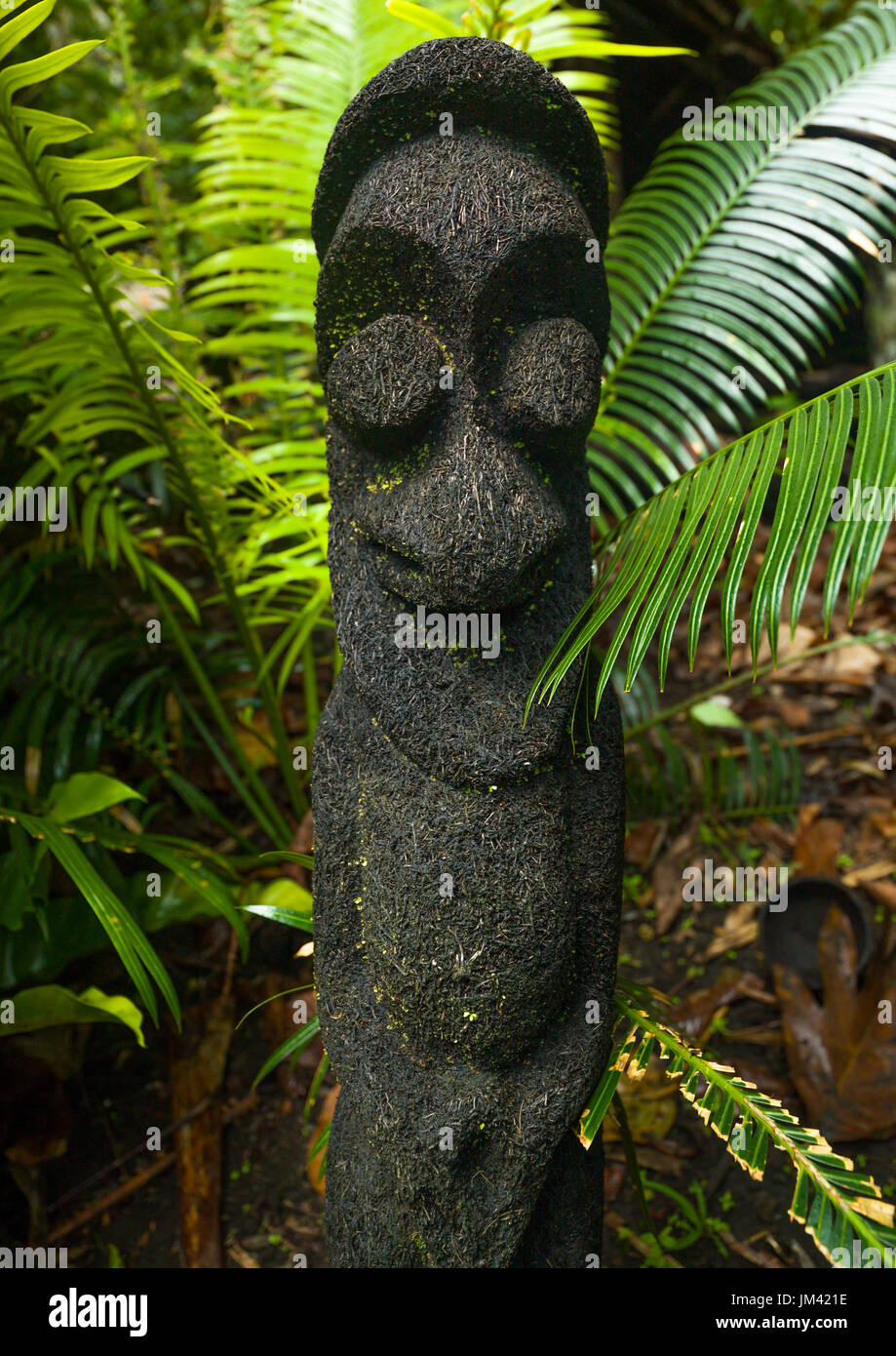 Fern Tree grado figura nella giungla, Ambrym island, Olal, Vanuatu Foto Stock