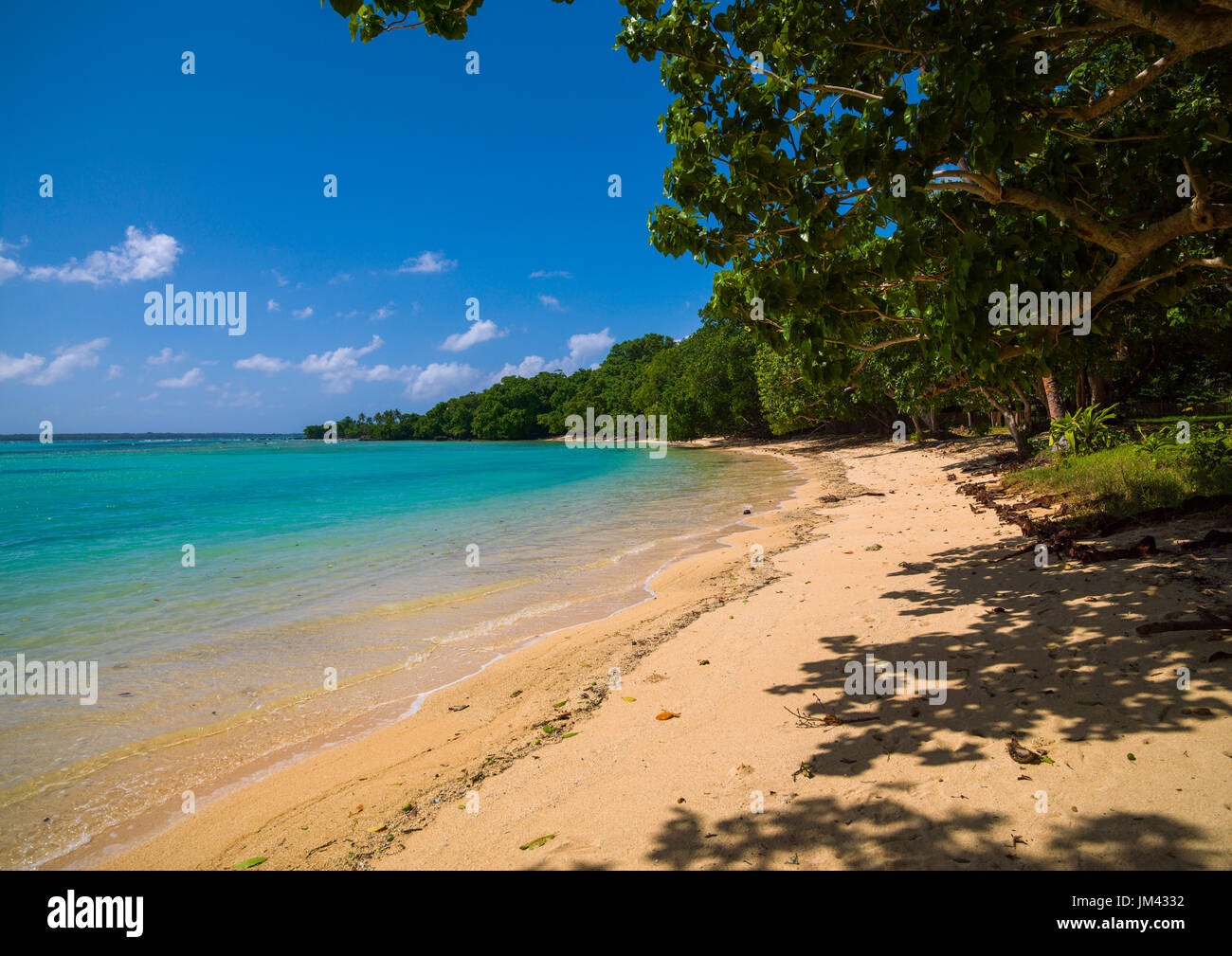 Spiaggia Champagne con acqua turchese, Sanma Provincia, Espiritu Santo, Vanuatu Foto Stock
