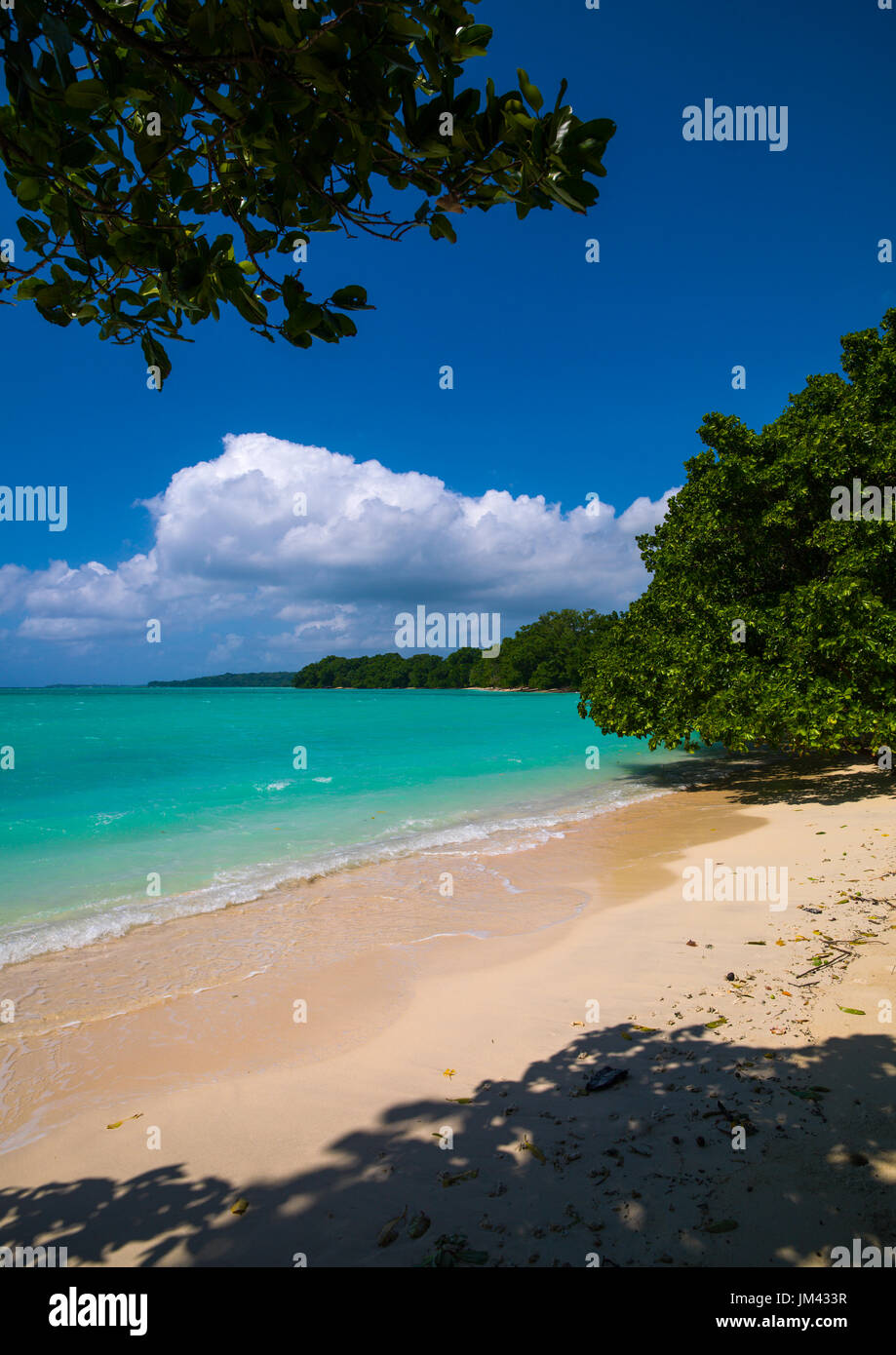 Spiaggia Champagne con acqua turchese, Sanma Provincia, Espiritu Santo, Vanuatu Foto Stock