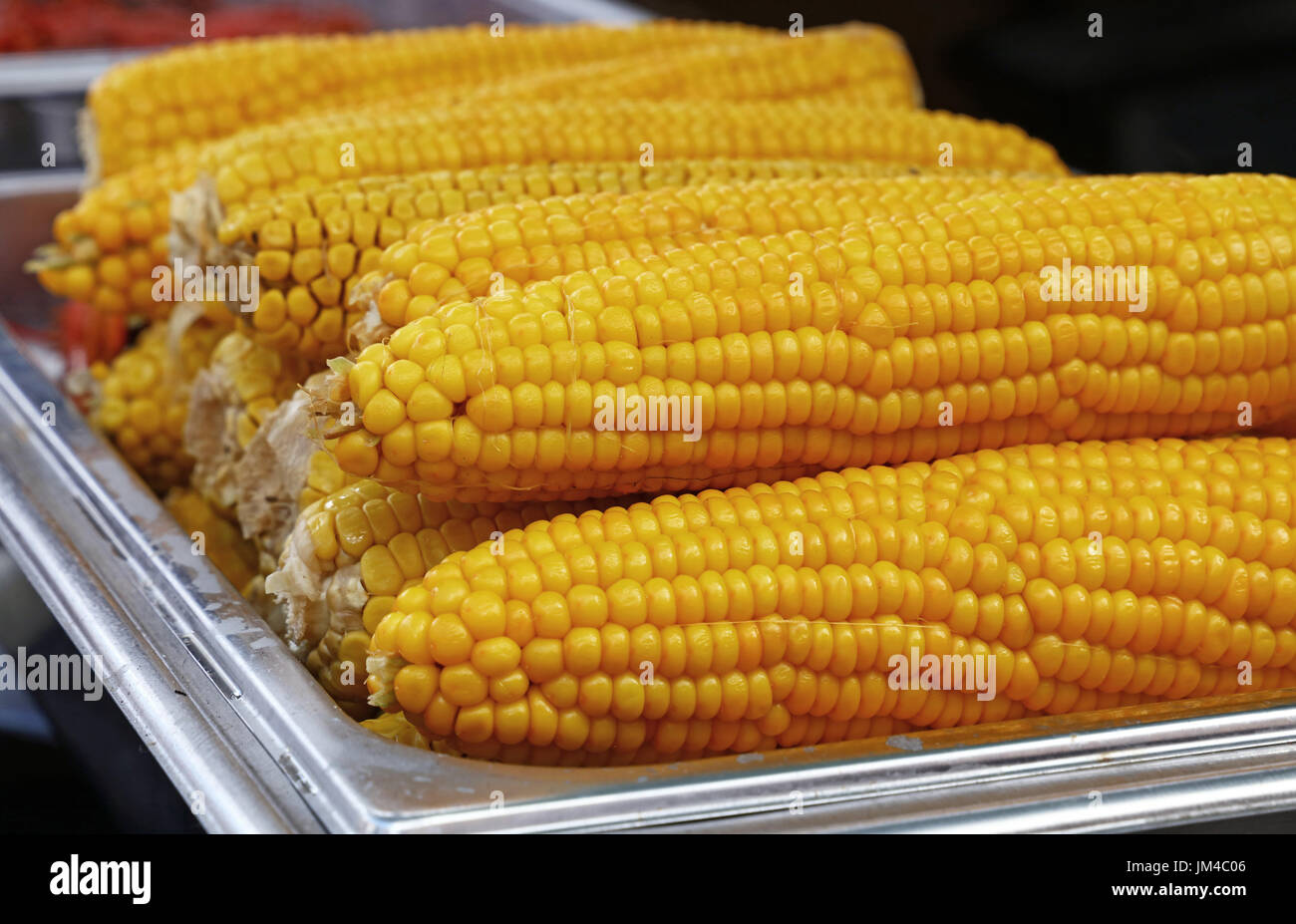 Diversi lessati o cotti al vapore pronto a mangiare giallo tutoli di mais vicino a basso angolo di visione Foto Stock