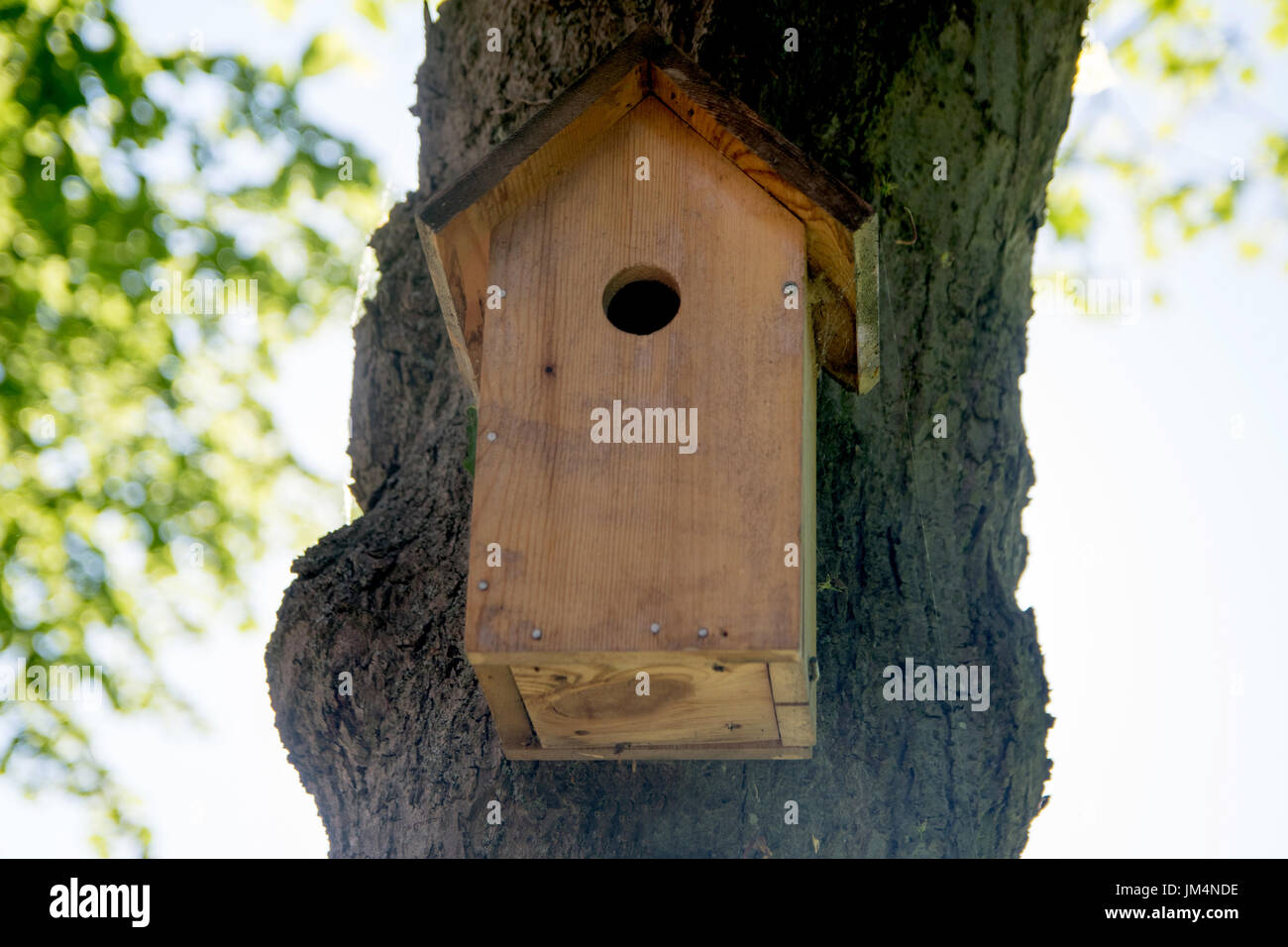 Casa di uccelli appesi dall'albero con il foro di ingresso nella forma di un cerchio Foto Stock