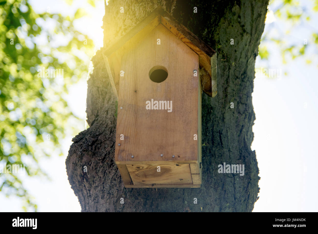 Casa di uccelli appesi dall'albero con il foro di ingresso nella forma di un cerchio Foto Stock