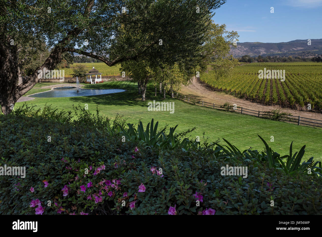 Giardino paesaggistico, Far Niente Winery, Oakville, la Valle di Napa NAPA County, California Foto Stock