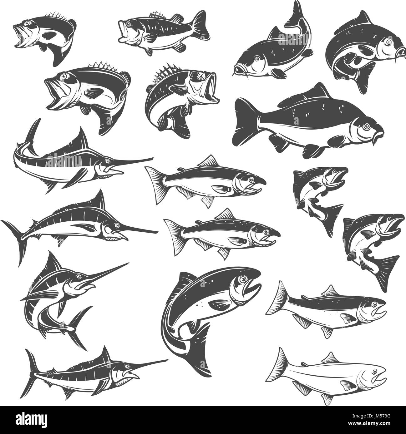 Illustrazioni di pesce su sfondo bianco. Carpe, pesci bass, trota, salmone, pesce spada icone. Gli elementi di design per il logo, l'etichetta, emblema. Illustrazione Vettoriale Illustrazione Vettoriale