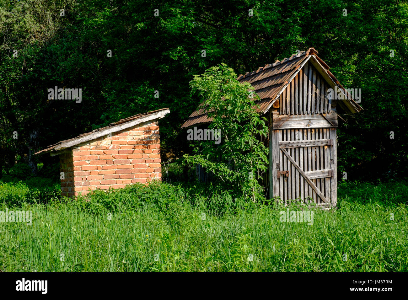 Al di fuori di servizi igienici e di asciugatura annessi capannone nel giardino di un tipico villaggio rurale casa in Zala county Ungheria Foto Stock