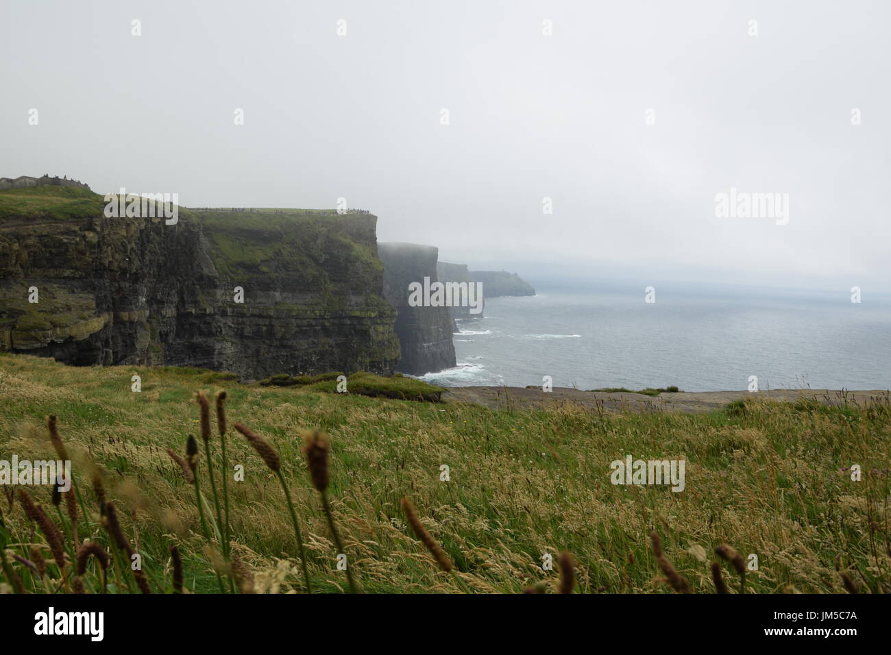 Vista delle scogliere di Moher nella contea di Clare, Irlanda occidentale Foto Stock