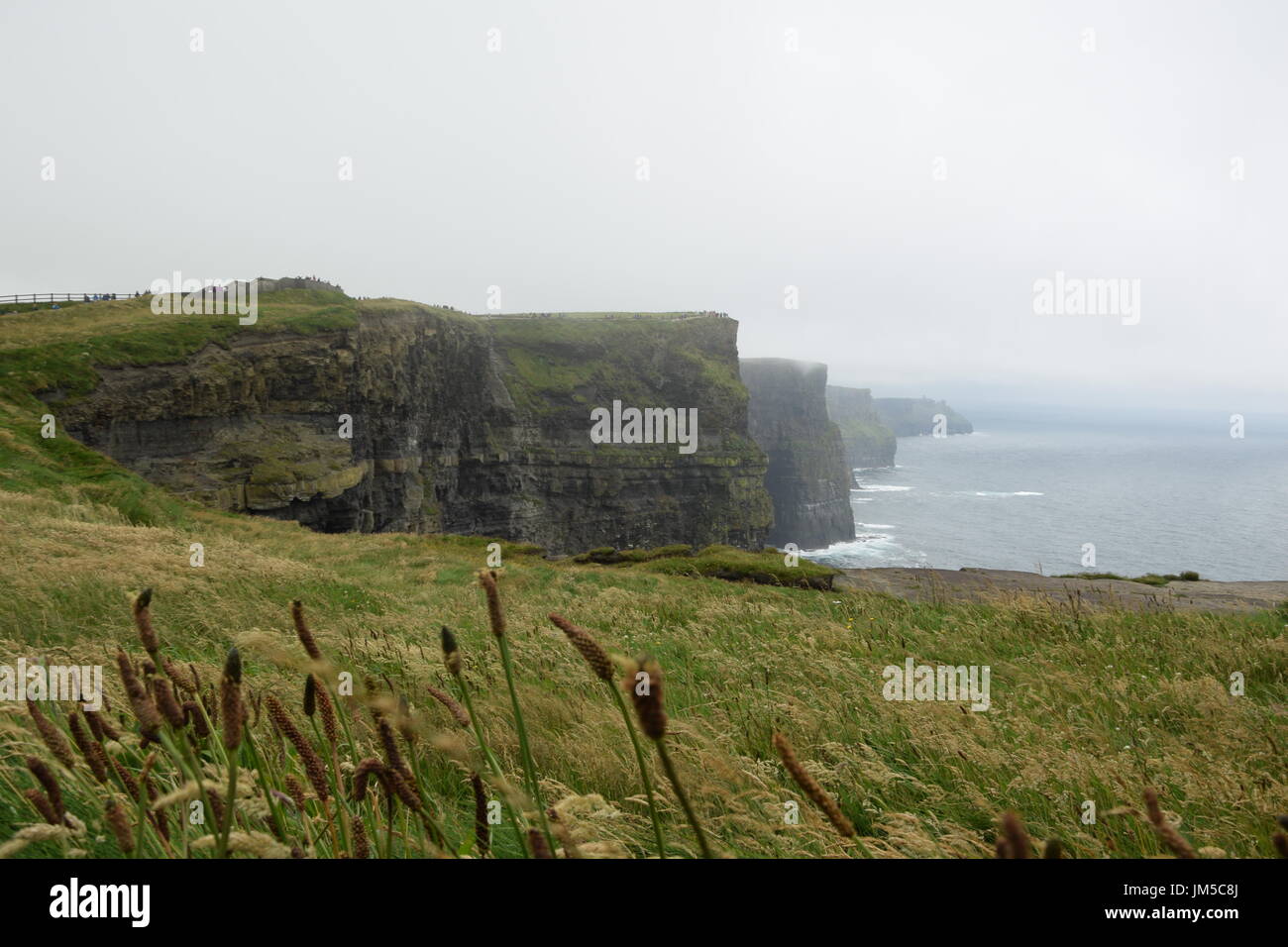 Vista delle scogliere di Moher nella contea di Clare, Irlanda occidentale Foto Stock