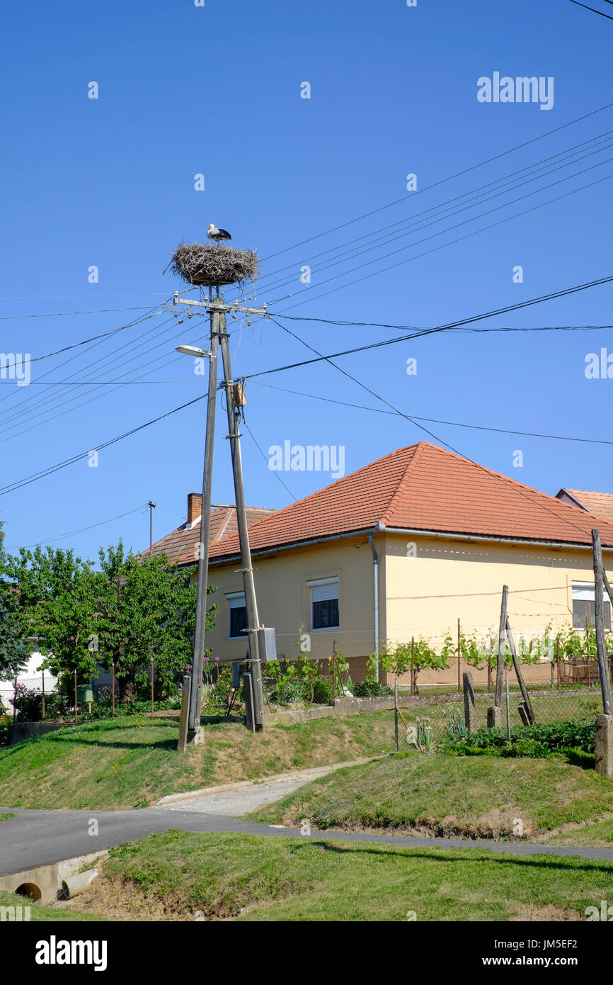 Tipico borgo rurale casa con lampione in parte anteriore completa di cicogna in alto nella Provincia di Zala Ungheria Foto Stock