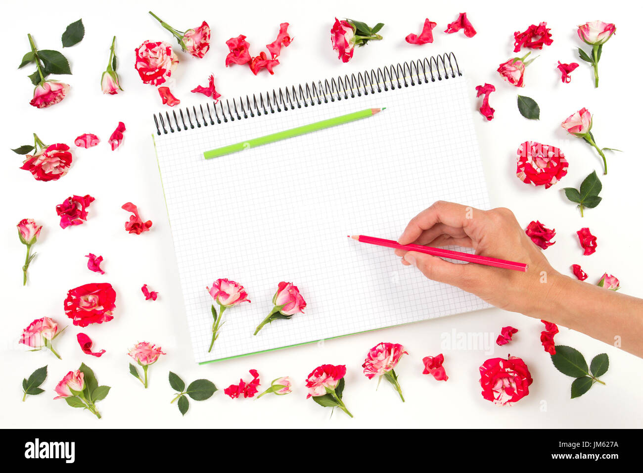 Donna del disegno a mano sul notebook a spirale con matite colorate e telaio di rose. Foto Stock