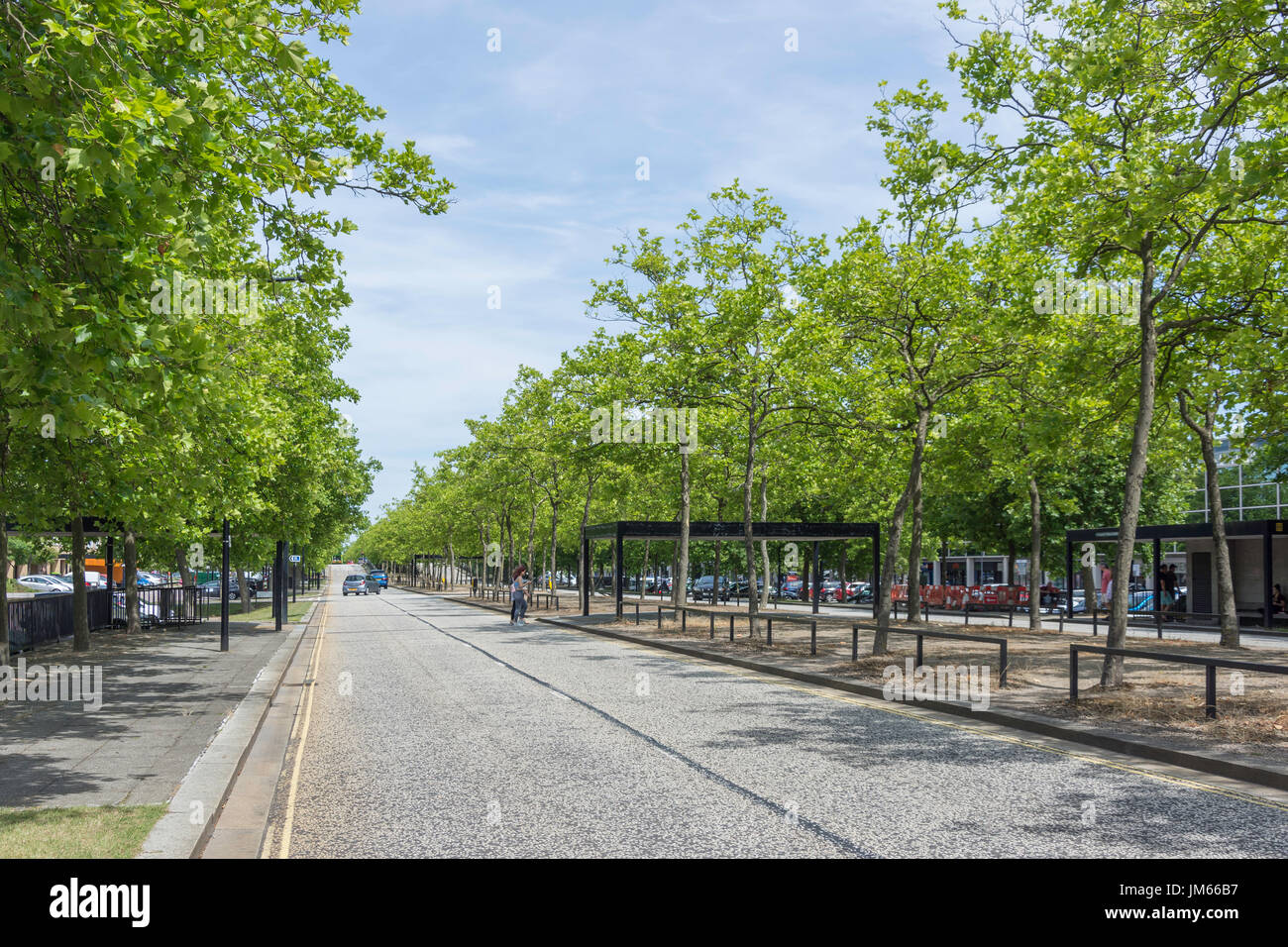 Viale alberato di Silbury Boulevard, Milton Keynes, Buckinghamshire, Inghilterra, Regno Unito Foto Stock