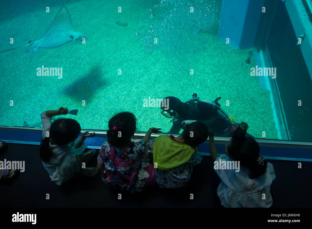 OSAKA, Giappone - 18 luglio 2017: i bambini non identificato godendo di  creature del mare e guardando il subacqueo a Osaka Acquario Kaiyukan di  Osaka in Giappone Foto stock - Alamy