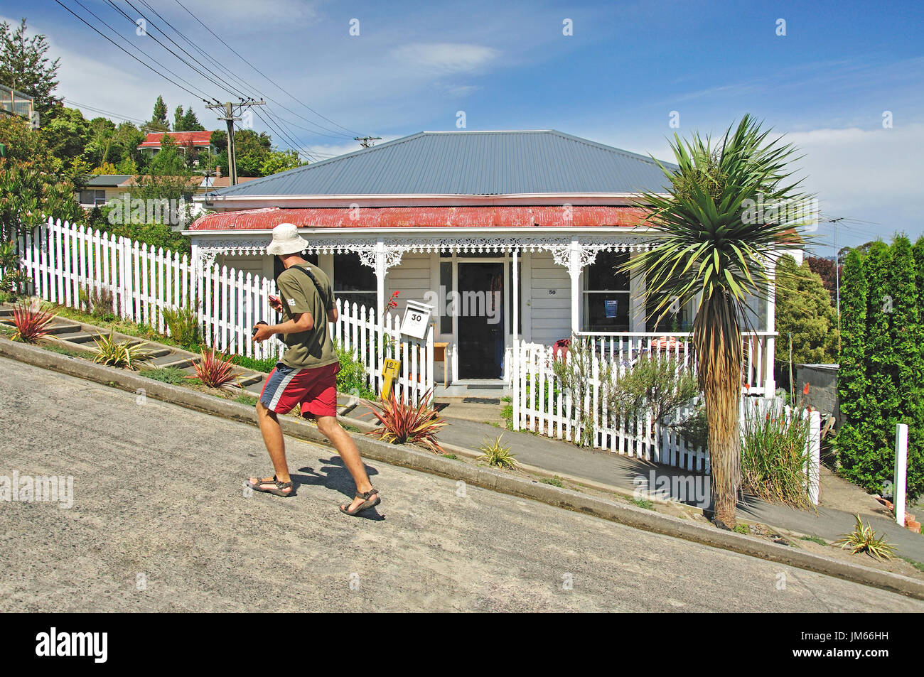 Baldwin Street (la strada più ripida del mondo), North East Valley, Dunedin, Otago, Isola del Sud, Nuova Zelanda Foto Stock
