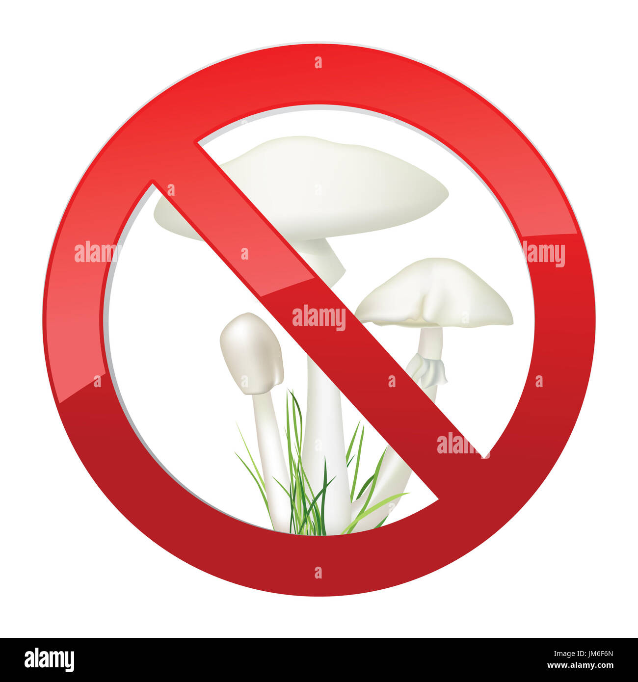Toadstool isolati su sfondo bianco. morte-cup a fungo illustrazione vettoriale. amanita phalloides. Foto Stock