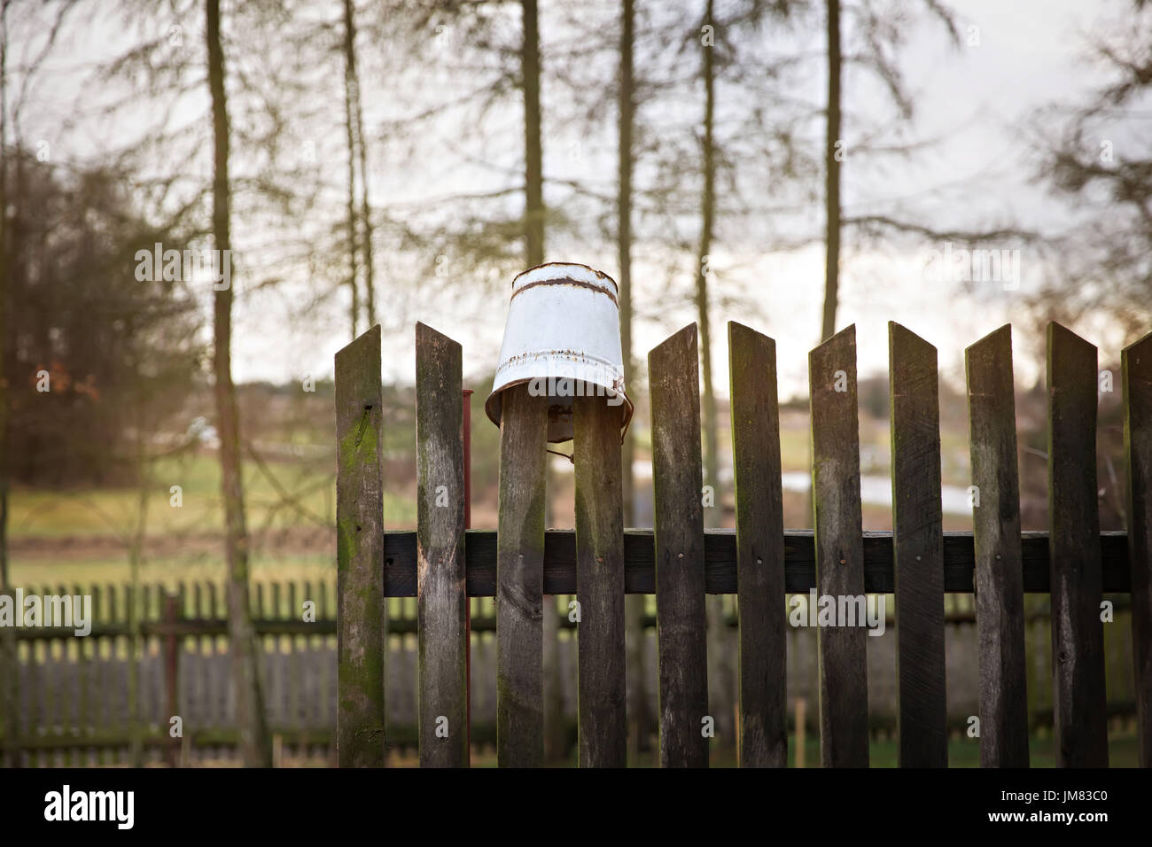 Unica benna sulla recinzione di legno. Foto Stock