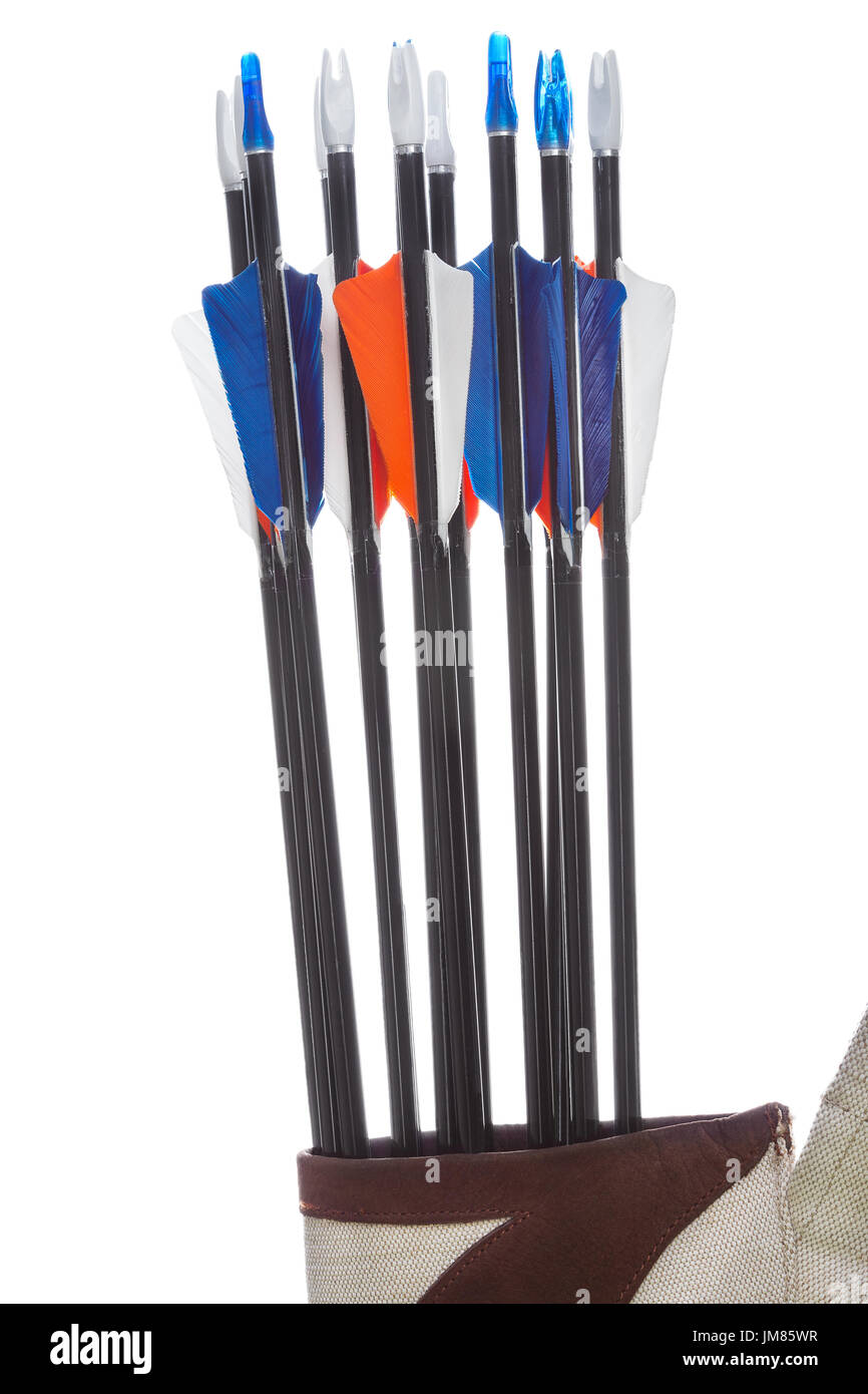 Sport frecce con fletching e nocks nella faretra isolato Foto Stock