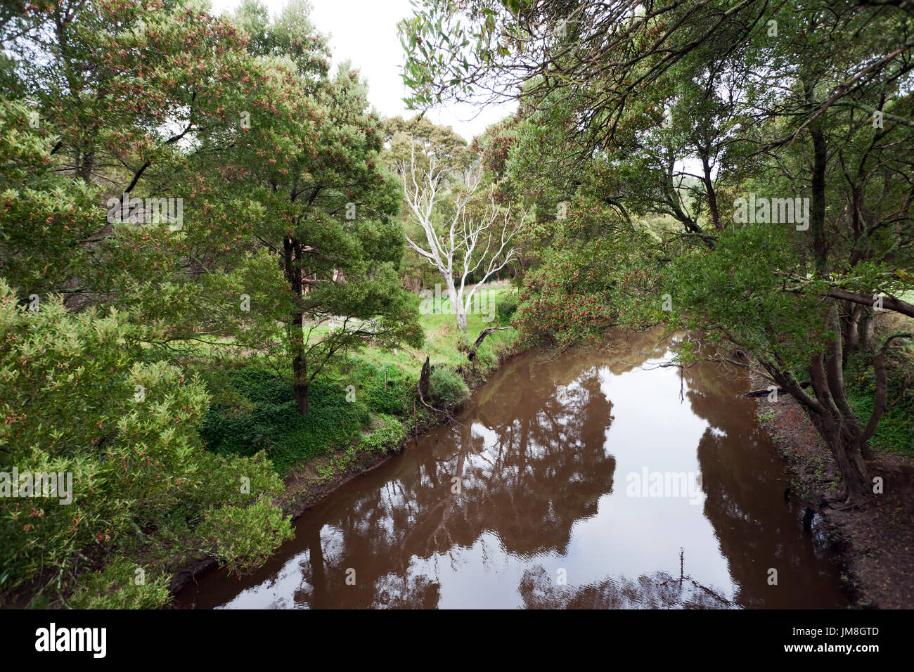 Vista del fiume Gellibrand, Great Ocean Road, Victoria, Australia Foto Stock
