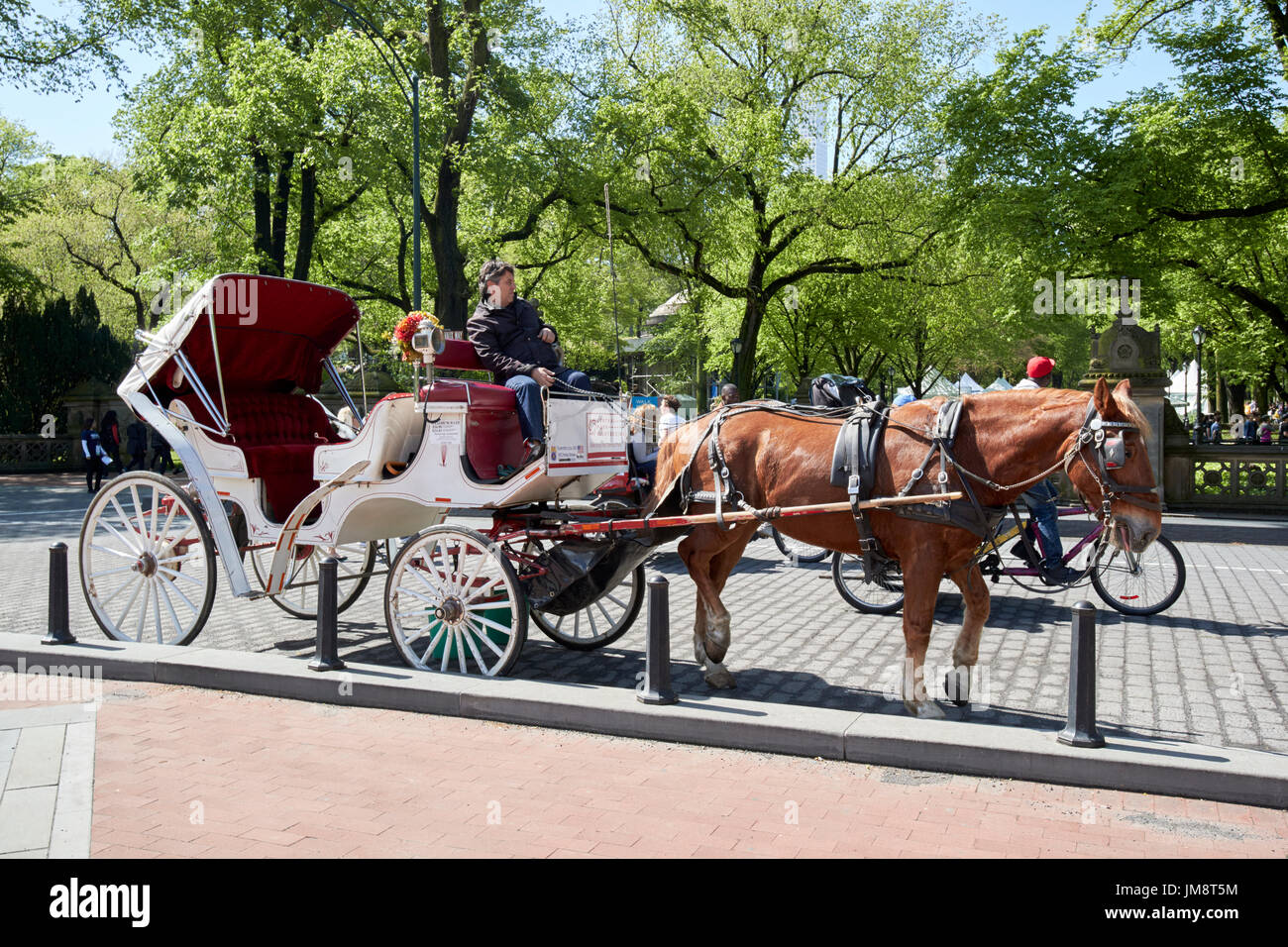 Cavallo e Carrozza in attesa per i passeggeri il Central Park di New York City STATI UNITI D'AMERICA Foto Stock