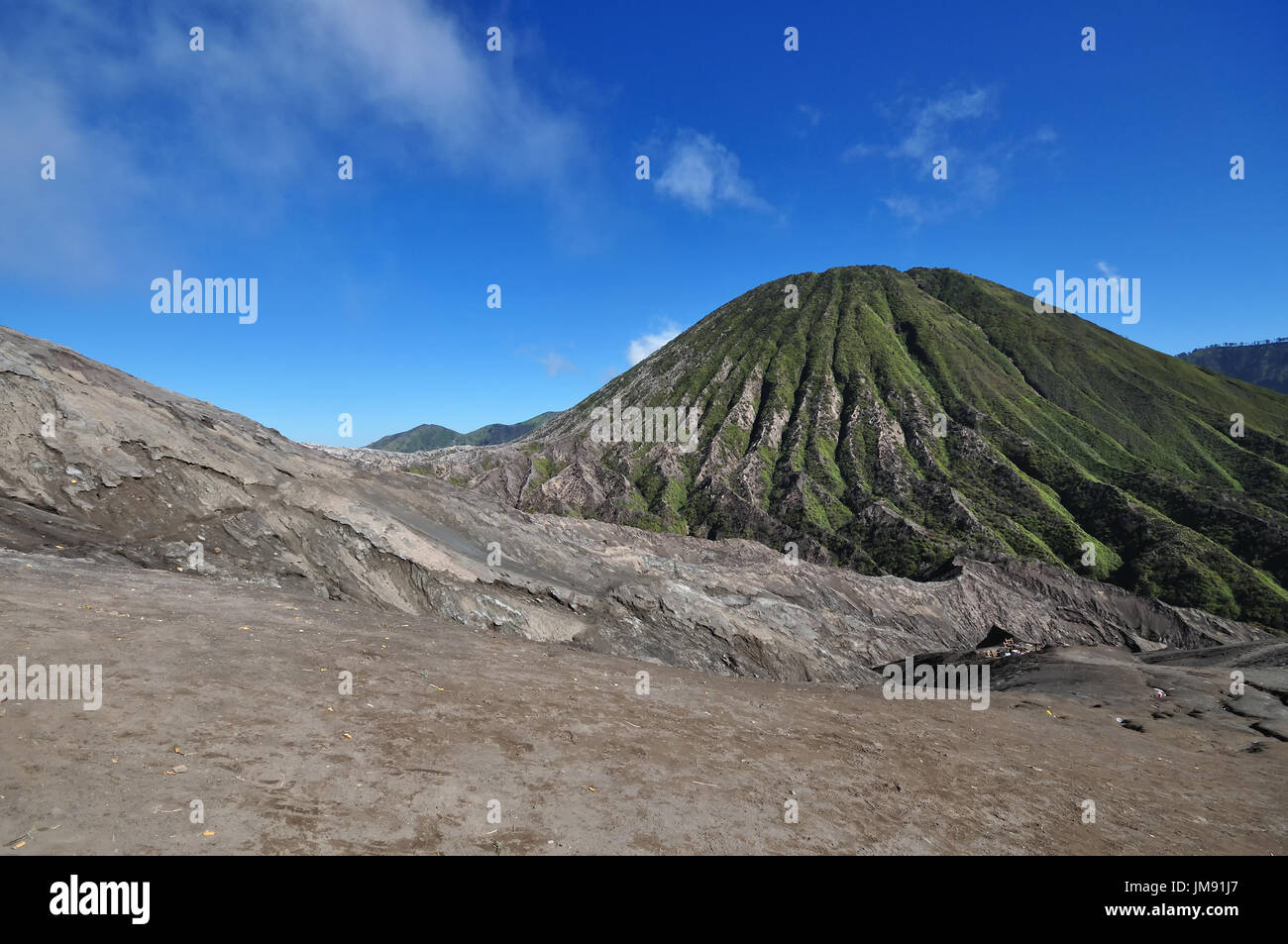 Scenario del Monte Bromo Tengger Semeru National Park in Java Orientale, Indonesia. Foto Stock