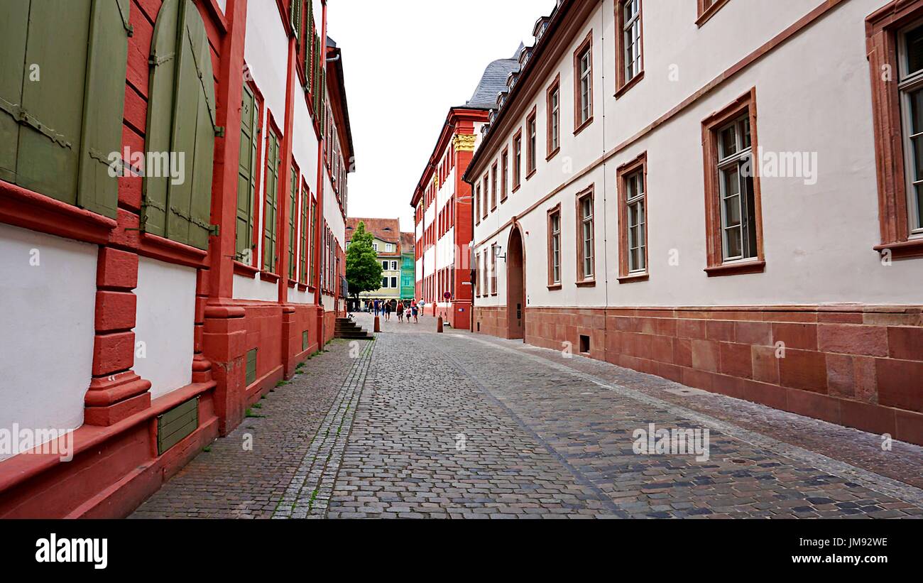 Edifici aziendali nella città vecchia di Heidelberg, Germania Foto Stock