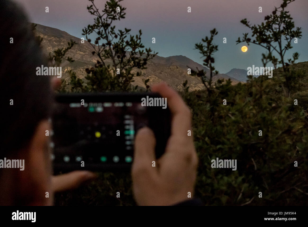 Una persona di scattare una foto sul loro smartphone di Supermoon / Full Moon Rising oltre il Fiume Sespe Valley in Ojai, Califonria. Foto Stock