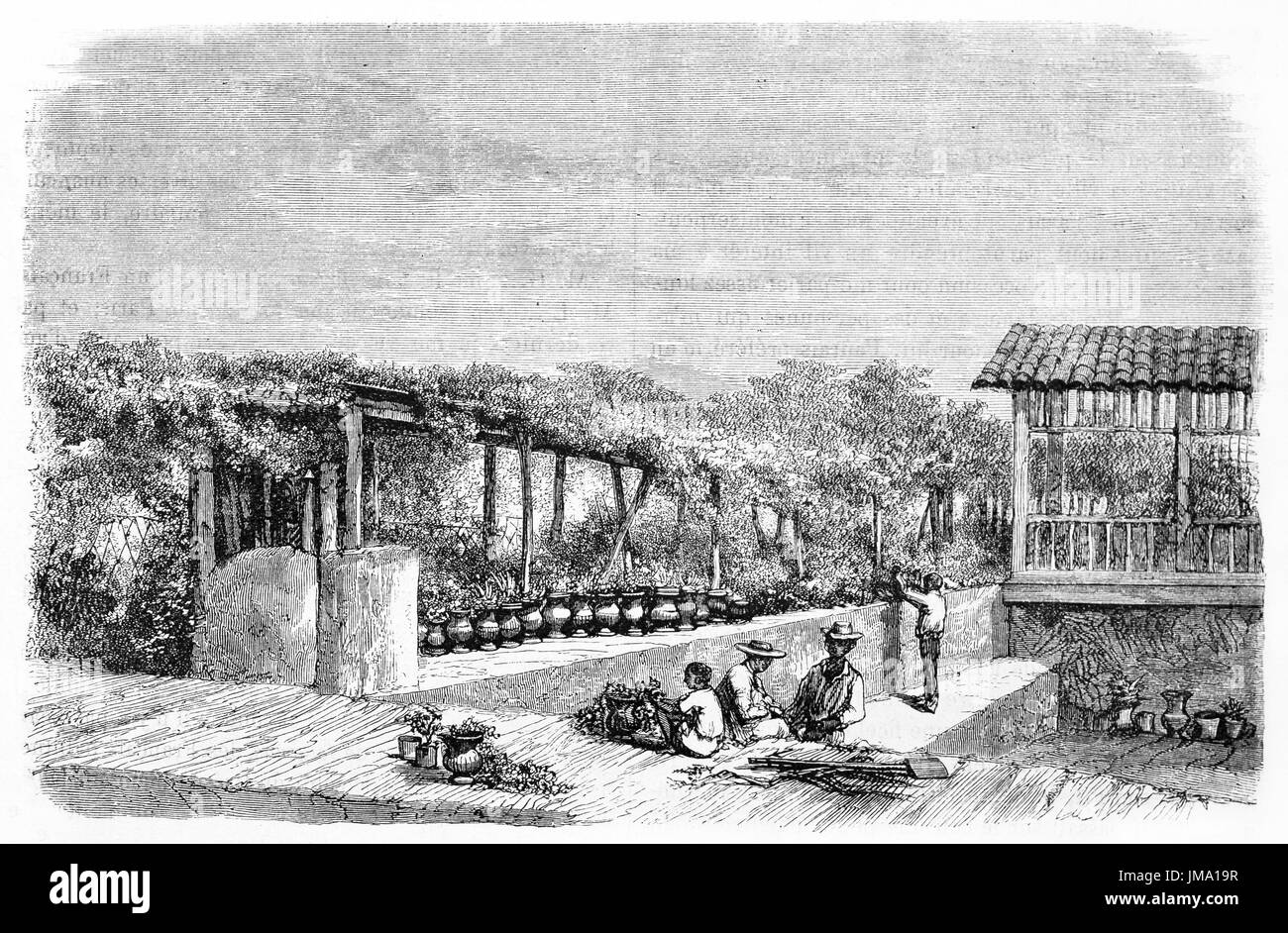 Vecchio vista del giardino di Arapiranca (fazenda), Brasile. Creato da Riou, Biard e Rouget, pubblicato in Le Tour du Monde, Parigi, 1861. Foto Stock