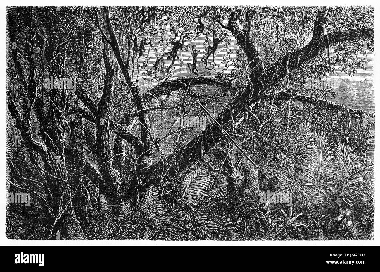 Vecchia illustrazione degli indigeni dell'amazzonia caccia con cerbottana nella giungla. Creato da Riou, Biard e Gauchard, pubblicato in Le Tour du Monde, Parigi, 1 Foto Stock