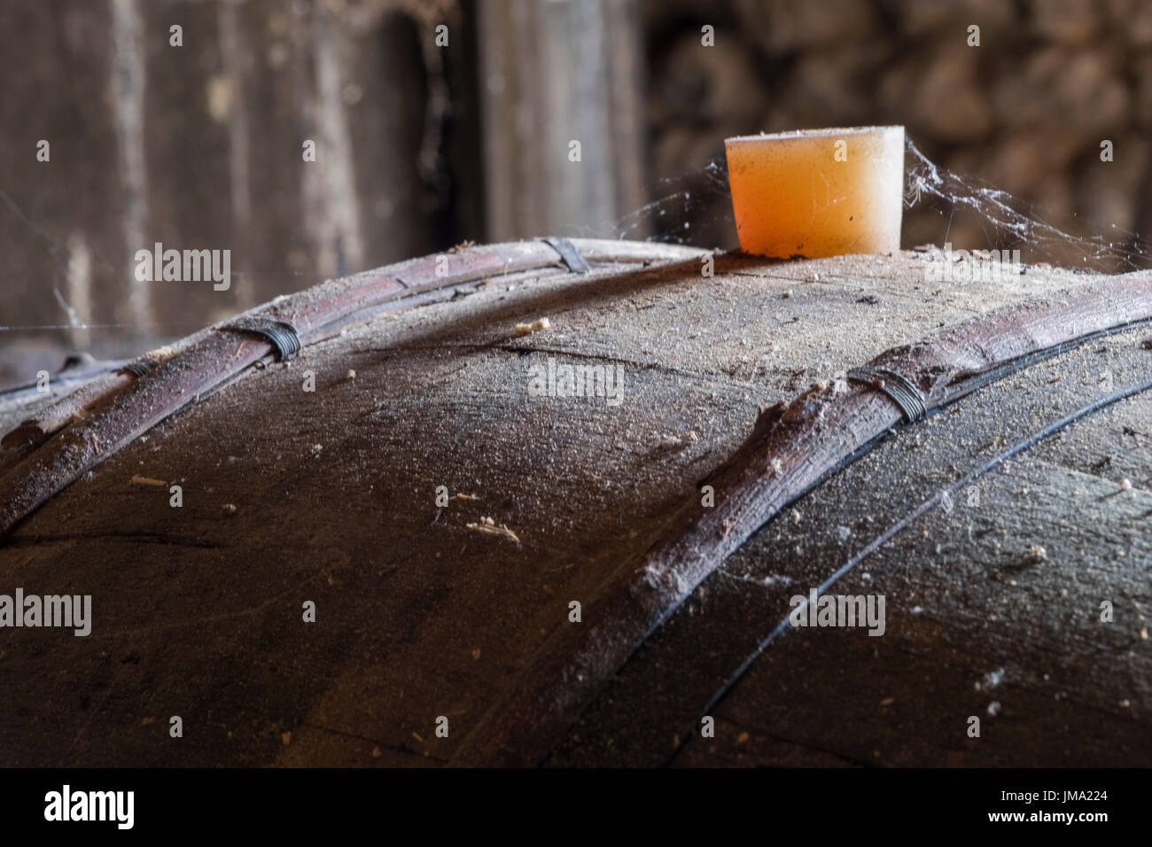 Close up di una maturazione cognac canna Foto Stock