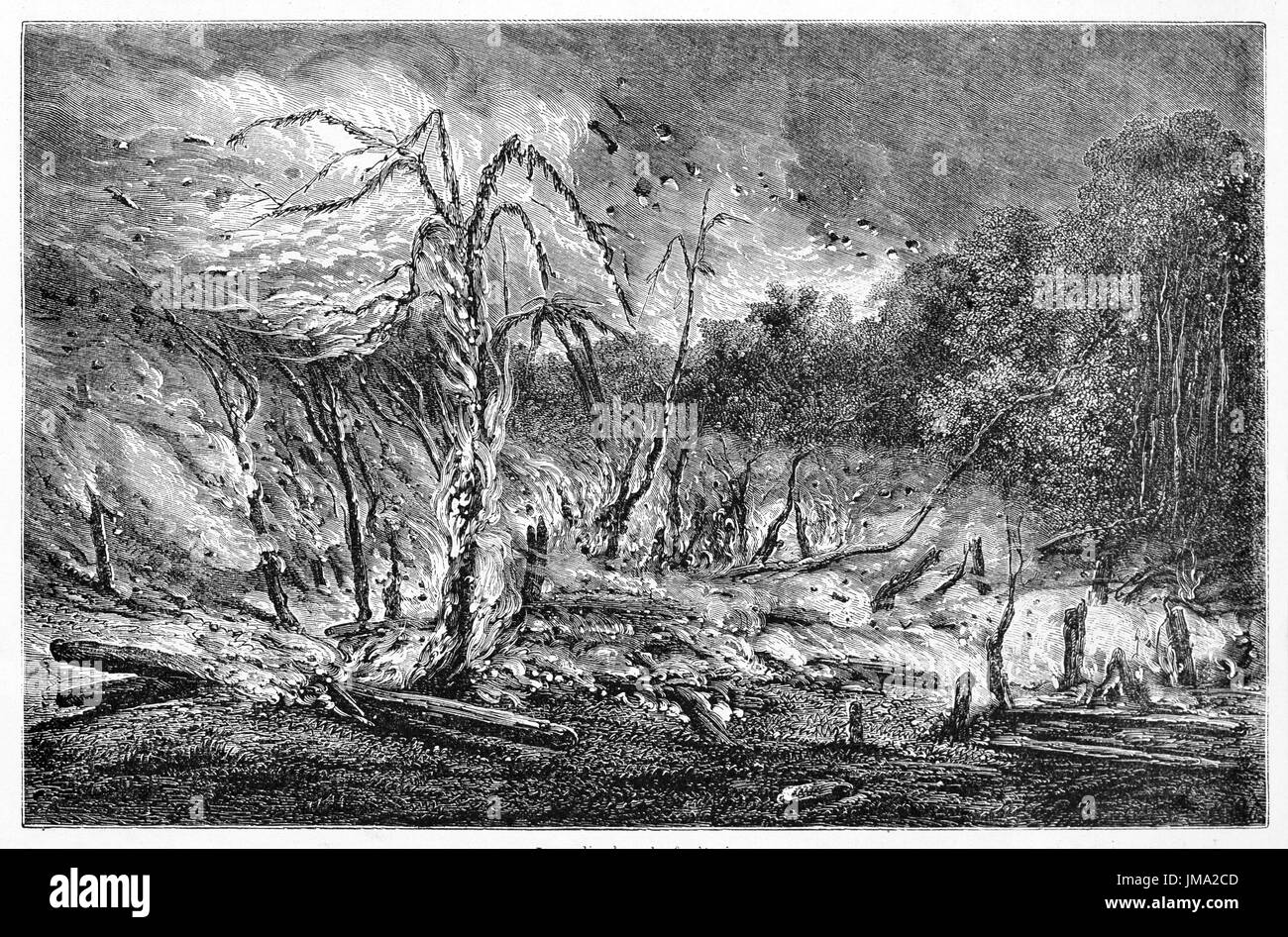 Vecchia illustrazione di incendio di foresta pluviale Brazialian. Creato da Gauchard, pubblicato in Le Tour du Monde, Parigi, 1861. Foto Stock