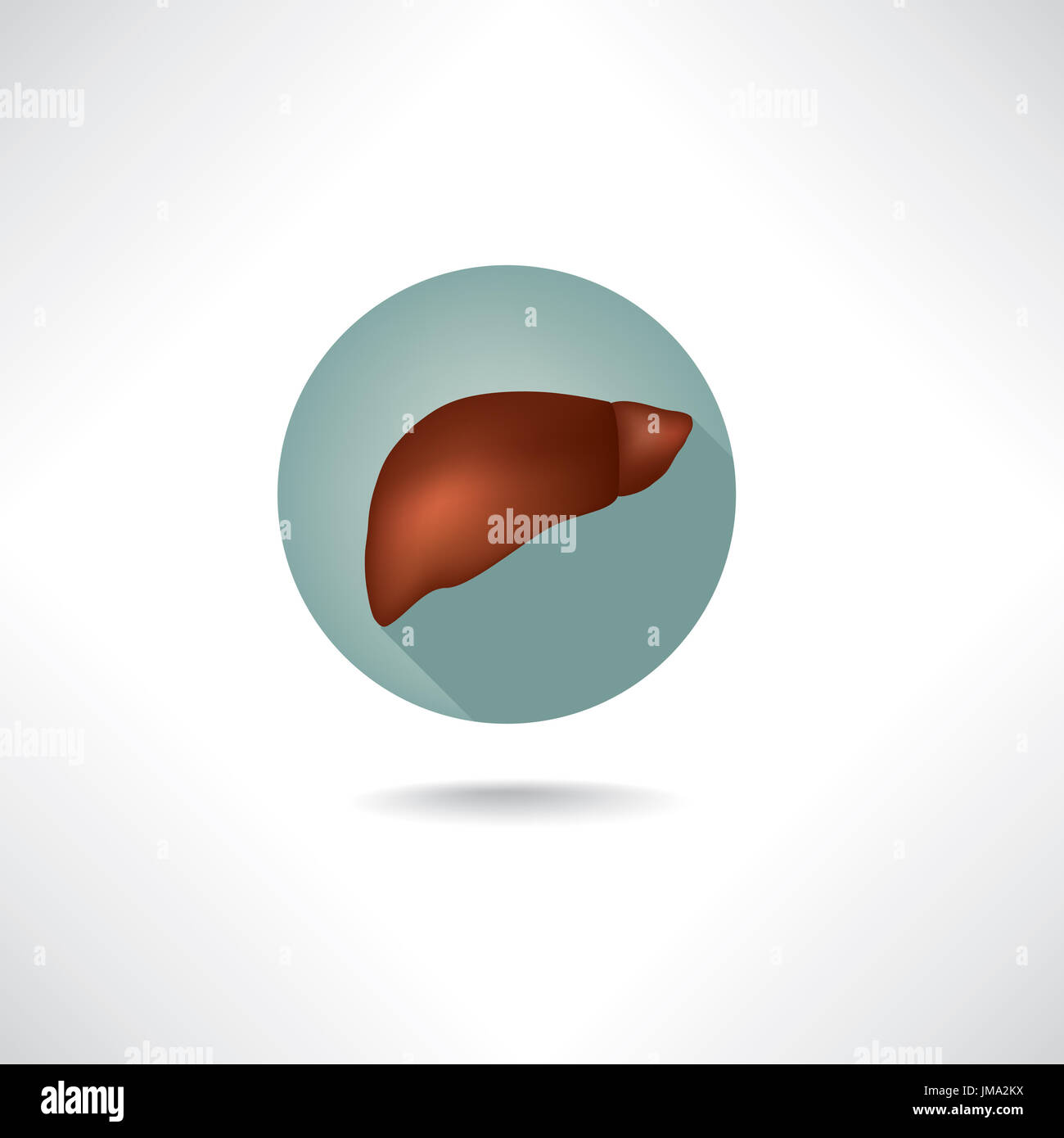 Icona del fegato. Anatomia umana pulsanti web impostato. Foto Stock