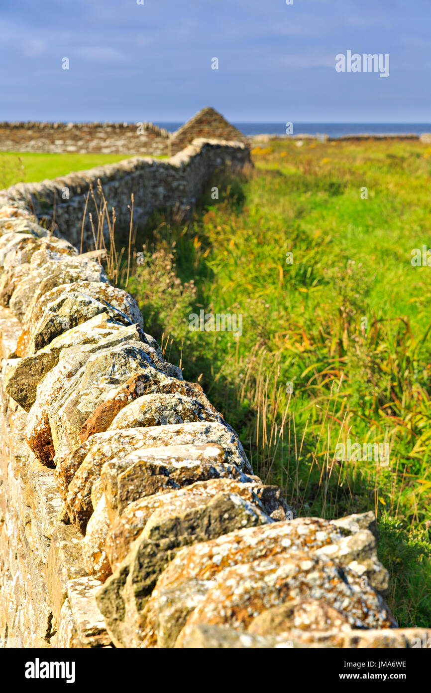 Soleggiata baia di Skaill, Orkney continentale, vicino a Skara Brae sito Foto Stock