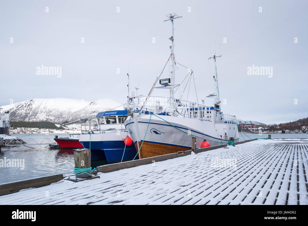 Dive e pescherecci attraccata a Stokmarknes, Nordland County, Norvegia Foto Stock