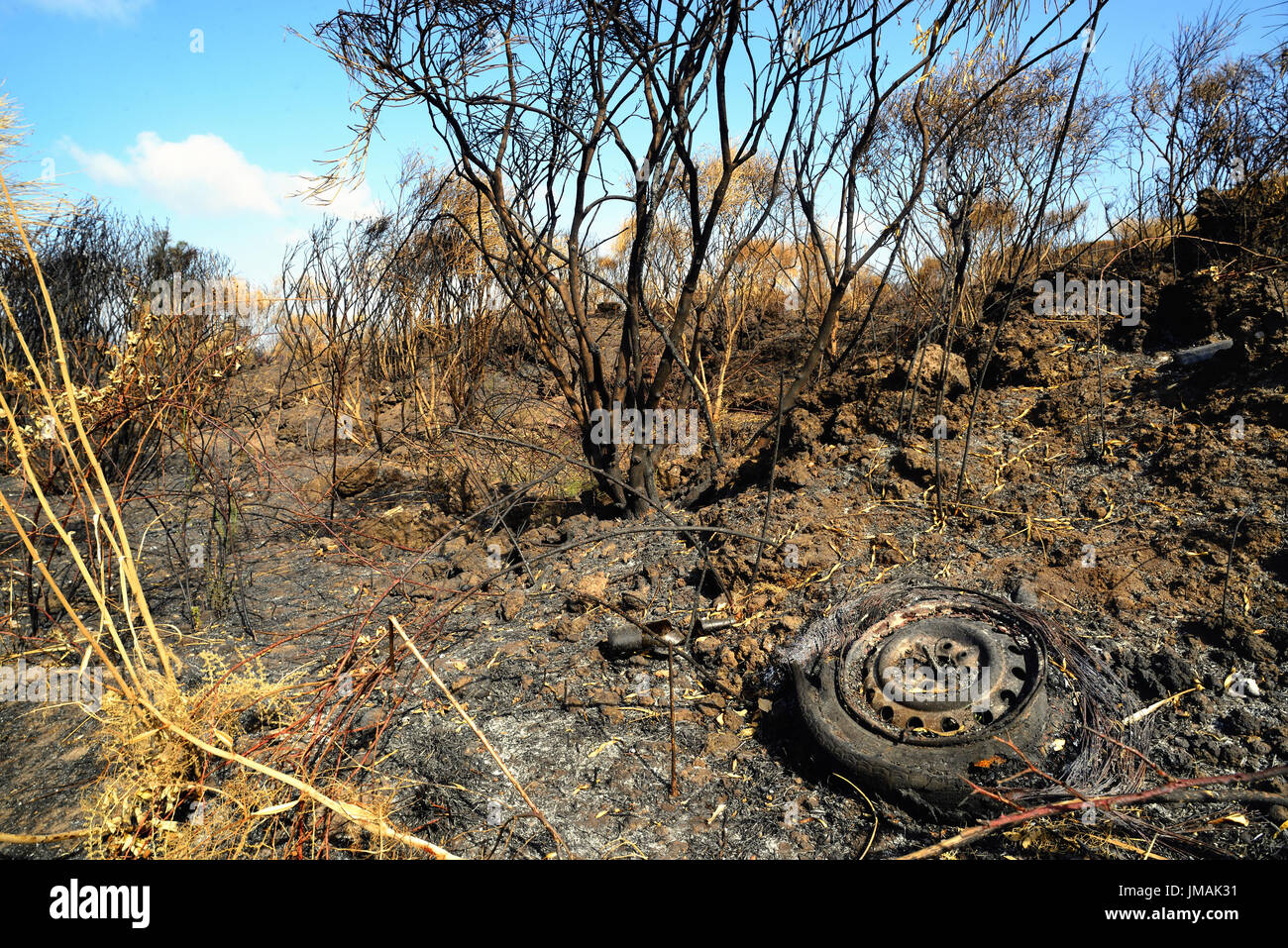 Il Parco Nazionale del Vesuvio, Napoli, Italia. Luglio 26th, 2017. La vasta il fuoco sul Parco Nazionale del Vesuvio gravemente danneggiato l'ambiente e ha rivelato un grande numero di rifiuti tossici che era stato abbandonato per anni sulle pendici del vulcano da alcuni personaggi senza scrupoli e uncivilian persone locali. La combustione di rifiuti inquinato l'aria con elevate concentrazioni di diossina. Questi piccoli illegale di discariche sono state accumulate disordinatamente da persone che eludere l'imposta sui rifiuti, qualcosa di diverso dalla grande camorra's dumpings, ancora presenti in altre parti della regione. Credito: Ferdinando Piezzi/Alamy Live News Foto Stock