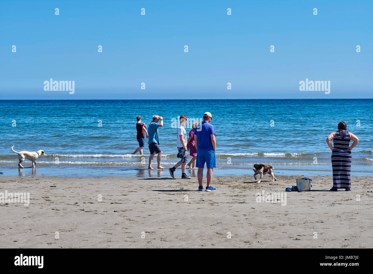 Le persone e i cani a piedi la linea di galleggiamento sulla spiaggia Laxey, Isola di Man Foto Stock