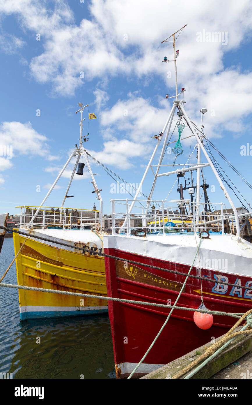 Le navi da pesca ormeggiate al porto di Campbeltown, penisola di Kintyre, costa ovest della Scozia, Regno Unito Foto Stock
