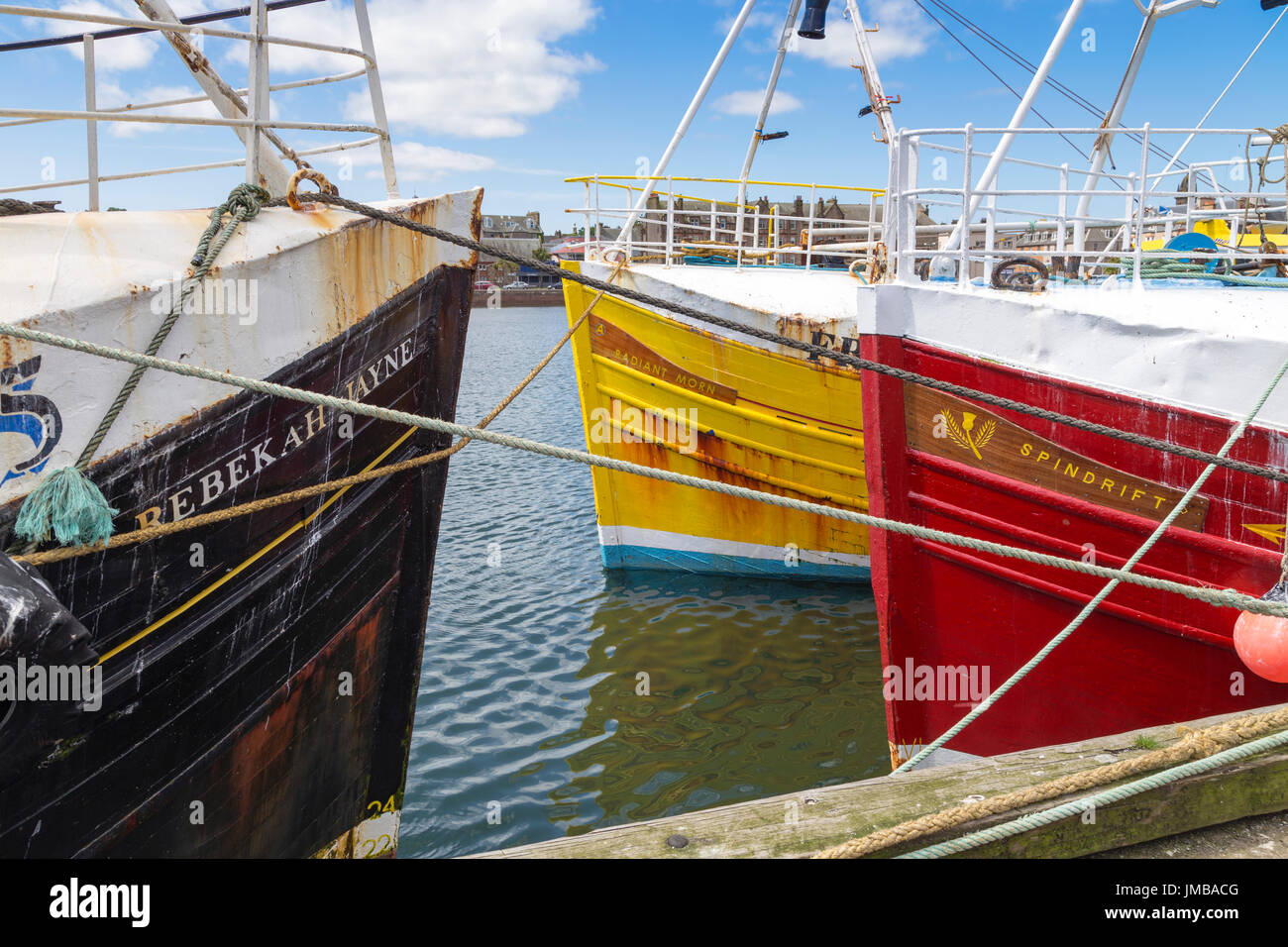 Le navi da pesca ormeggiate al porto di Campbeltown, penisola di Kintyre, costa ovest della Scozia, Regno Unito Foto Stock