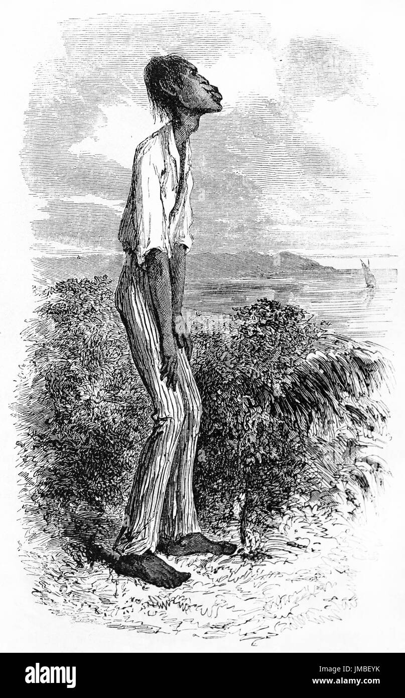 Ritratto a corpo pieno di un uomo sottile e brutto a forma di bastone in Brasile. Antica pittura di stile di incisione in tonalità di grigio di Riou e laly, le Tour du Monde, 1861 Foto Stock