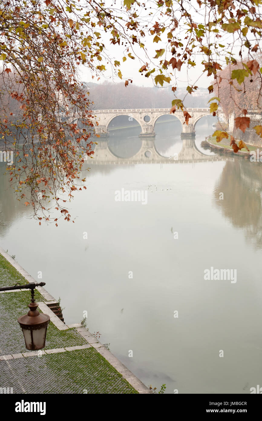 Foglie di autunno ramoscello sullo sfondo con antico ponte sul fiume Tevere. Roma, Italia Foto Stock