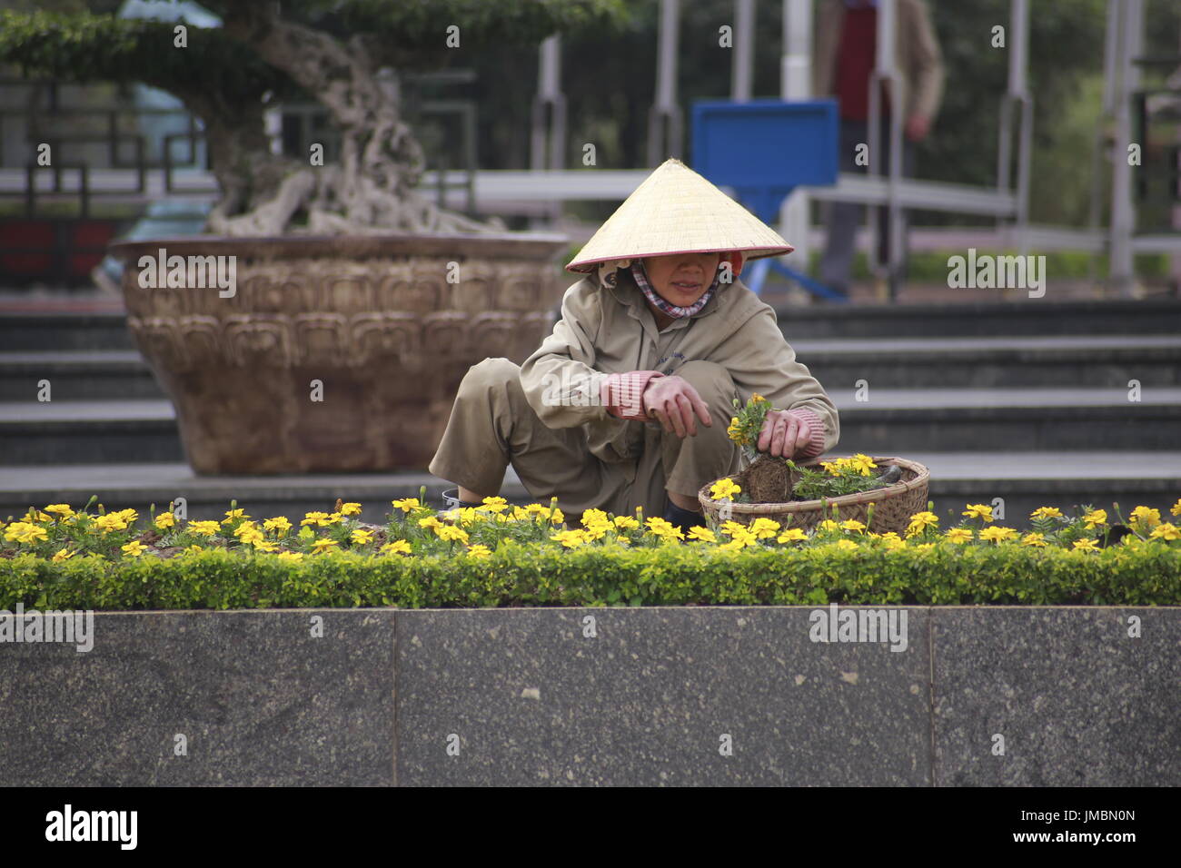 Giardiniere tendente ad urbano di piantare in Ho Chi Min City Foto Stock