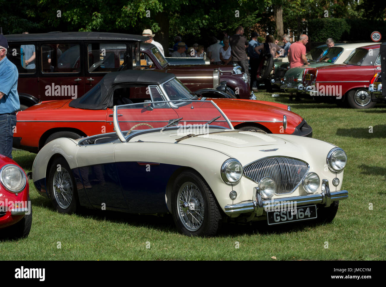 Una Austin Healey auto presso il Classic Car Show, Inkberrow village, Worcestershire, Regno Unito Foto Stock