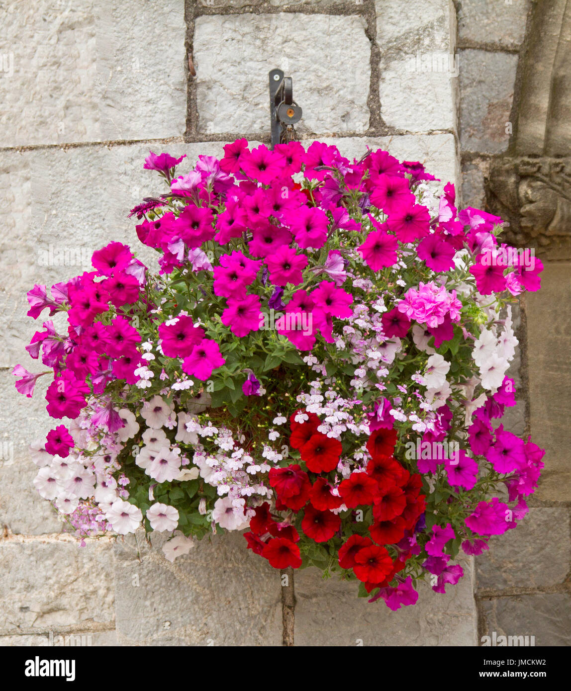 Spettacolare cesta appesa di vividi fiori, inc rosso, rosa luminoso e bianco nelle petunie e rosa pallido fiori lobelia contro la luce colorata parete in pietra Foto Stock