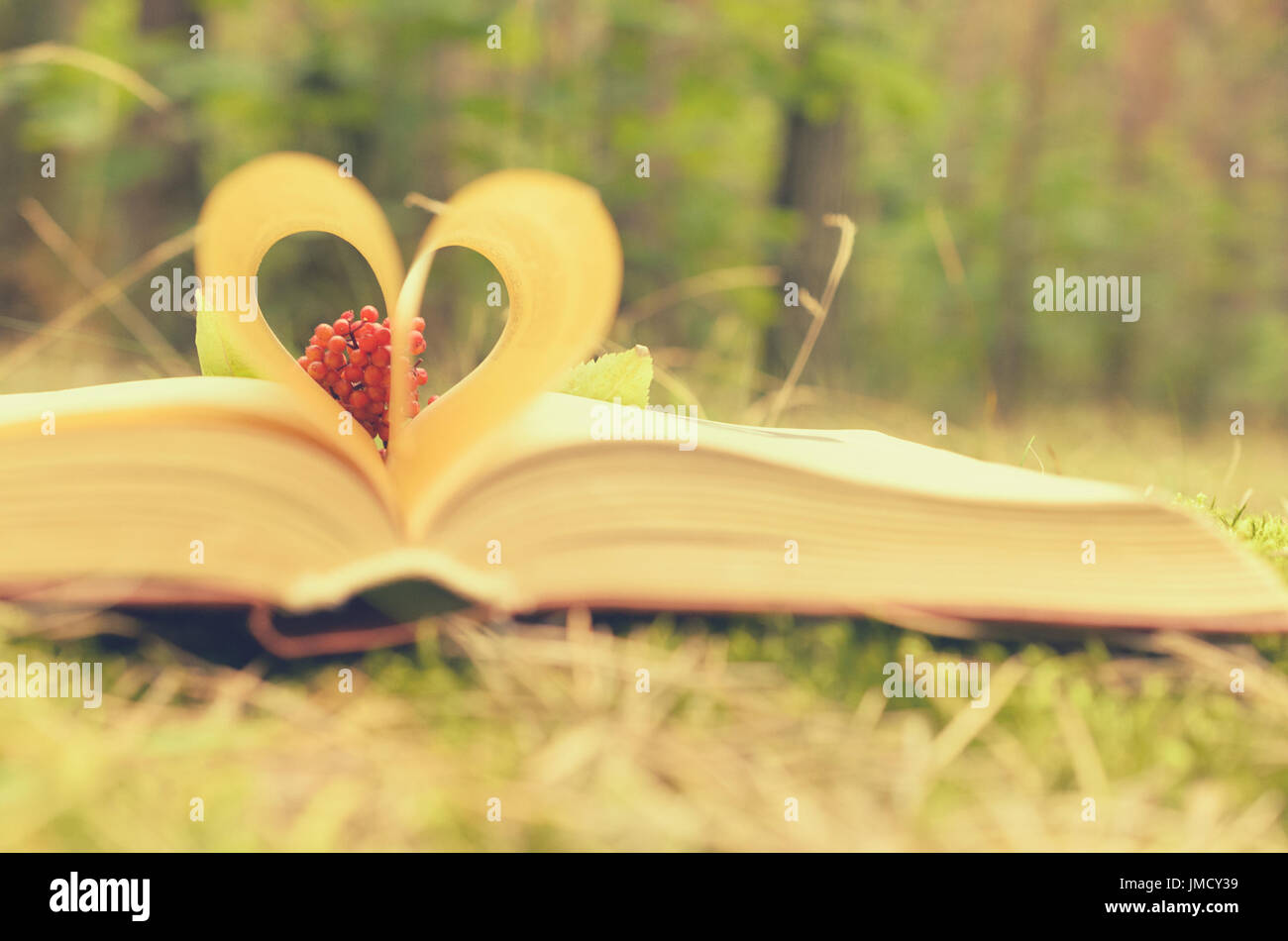 Le pagine del libro aperto sono impilati in forma di un cuore Foto Stock